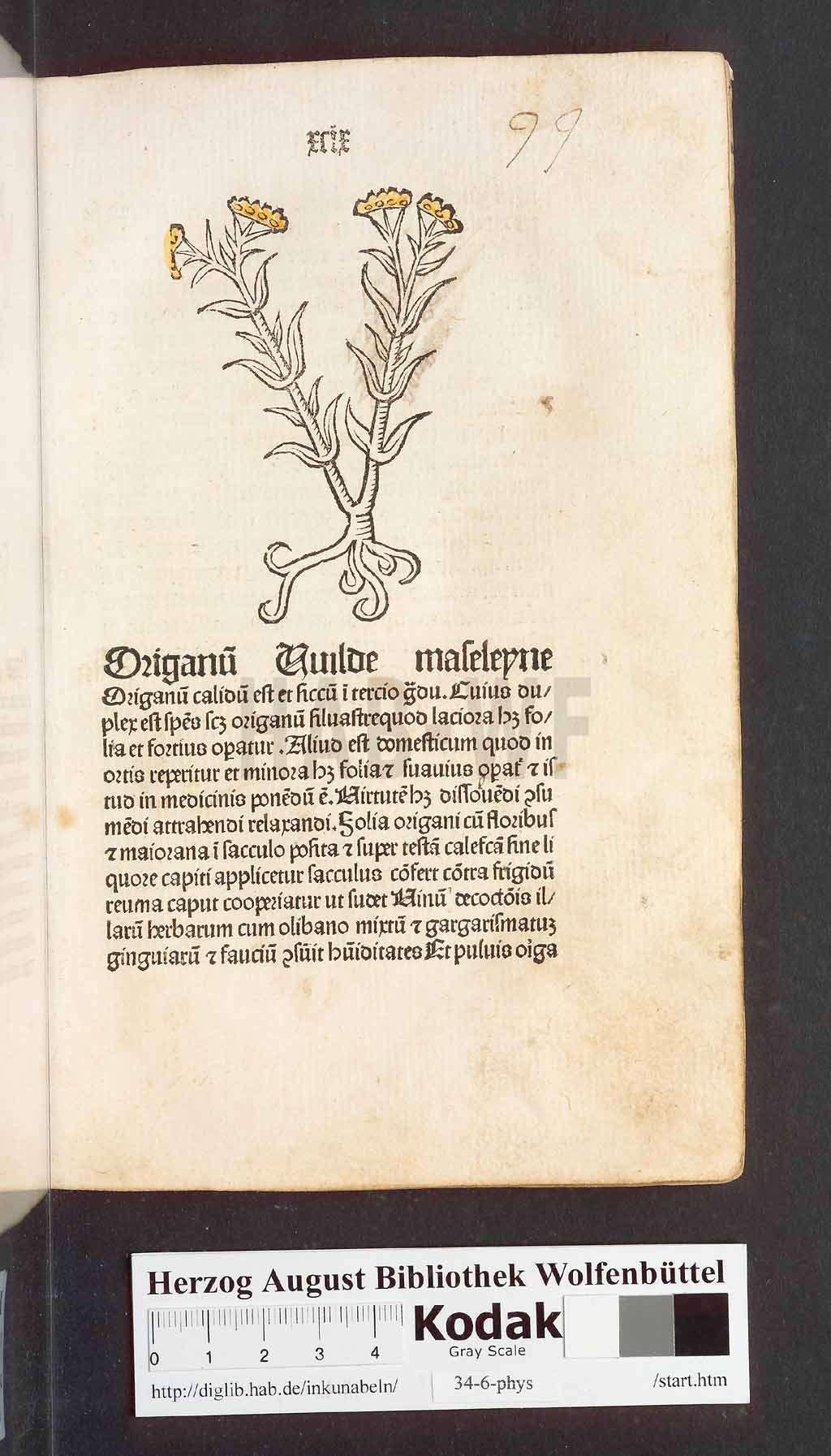 http://diglib.hab.de/inkunabeln/34-6-phys/00201.jpg
