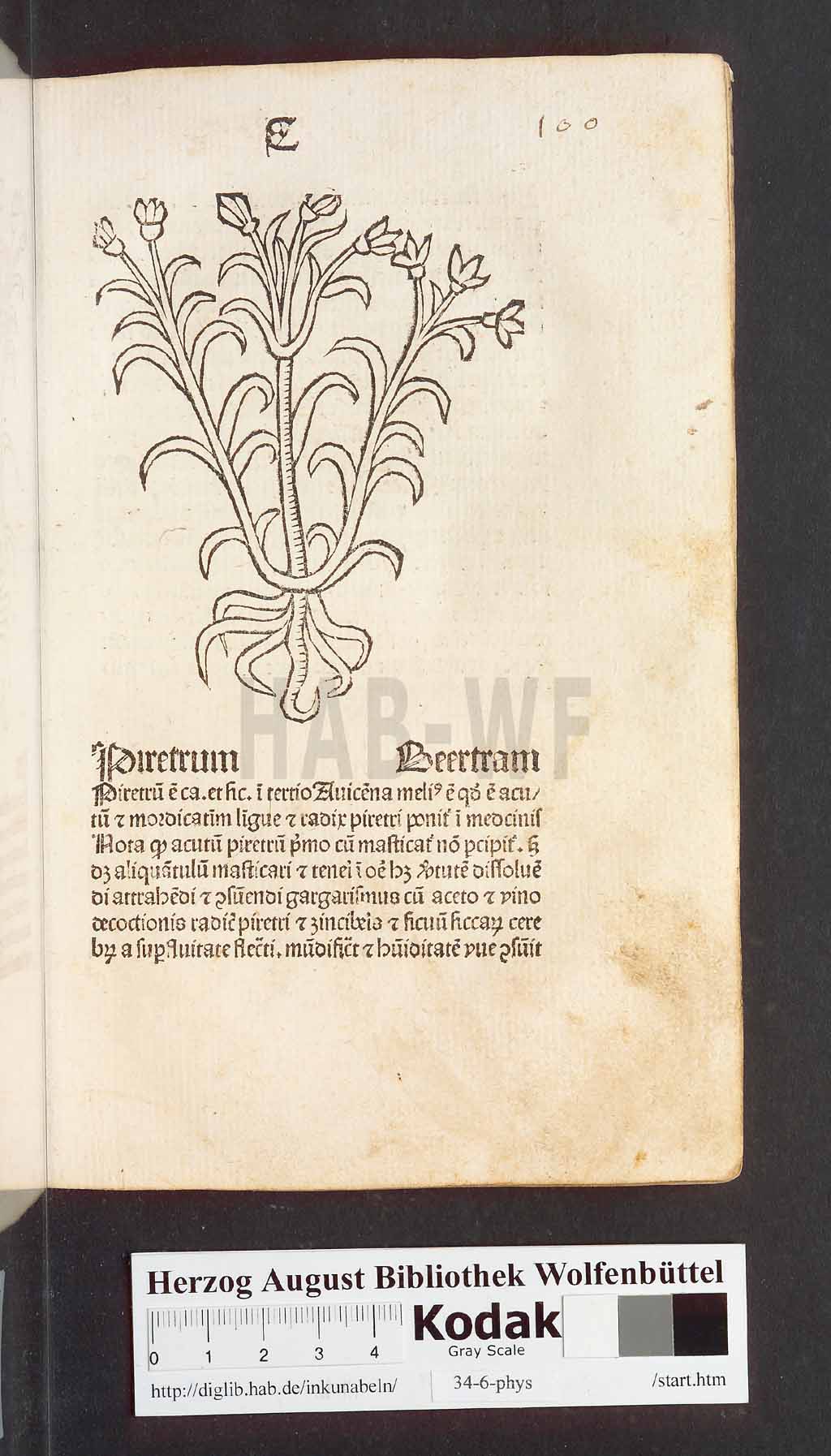 http://diglib.hab.de/inkunabeln/34-6-phys/00203.jpg