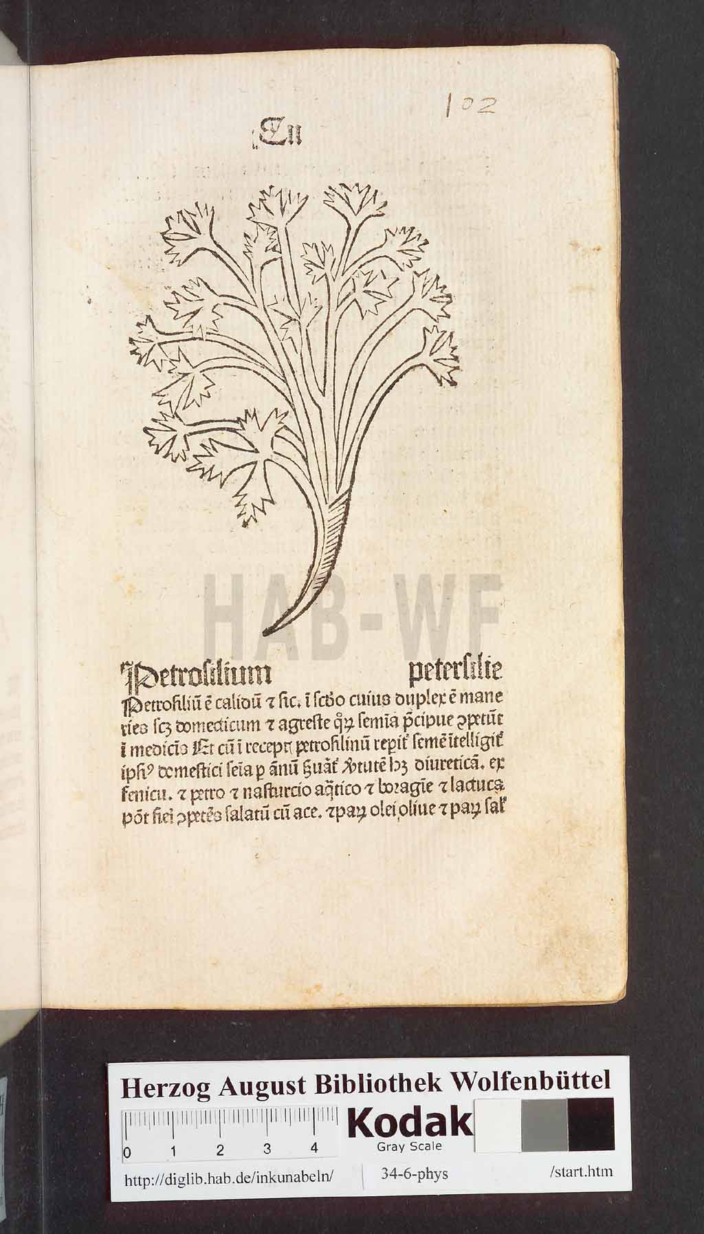 http://diglib.hab.de/inkunabeln/34-6-phys/00207.jpg