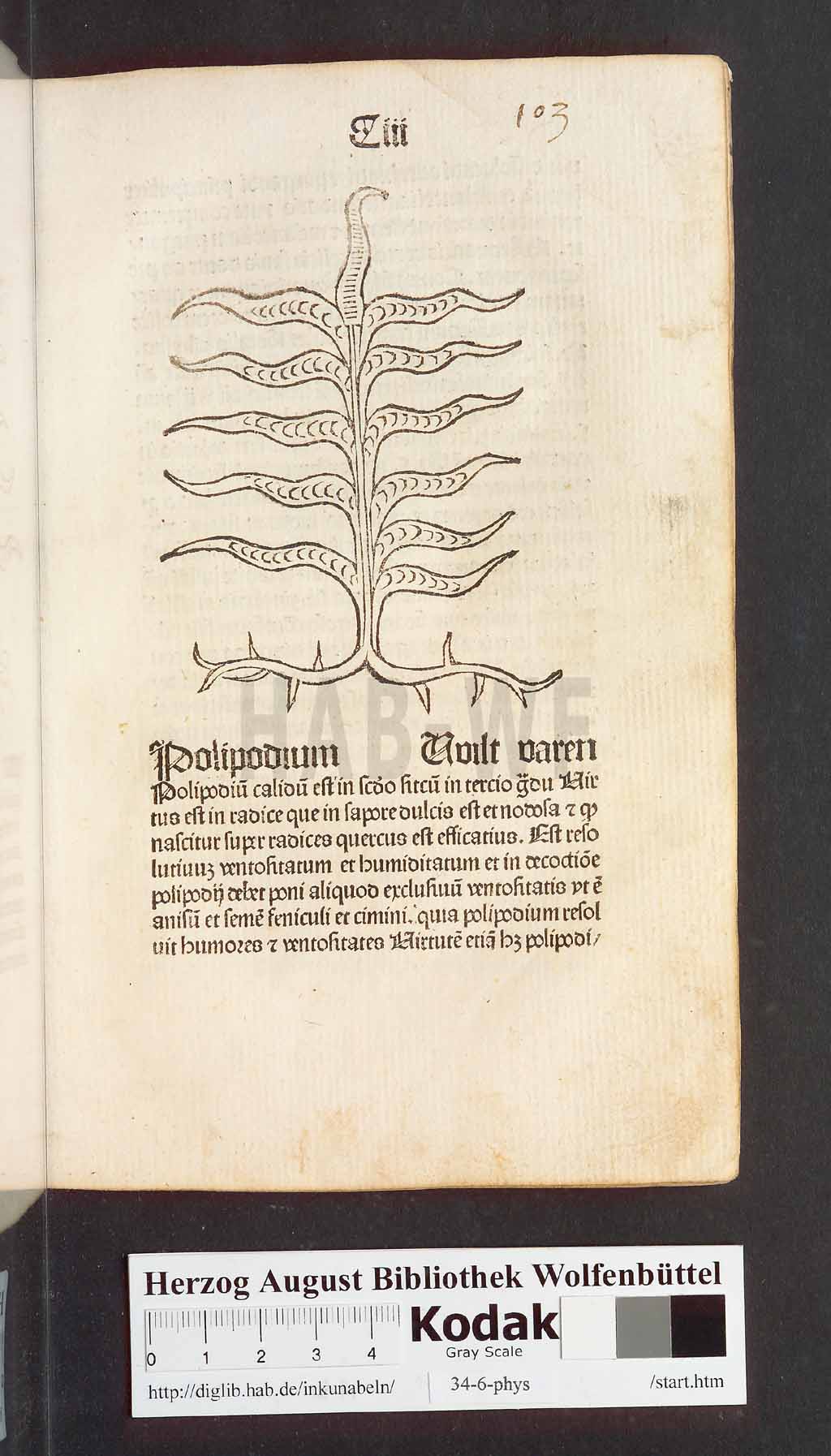 http://diglib.hab.de/inkunabeln/34-6-phys/00209.jpg