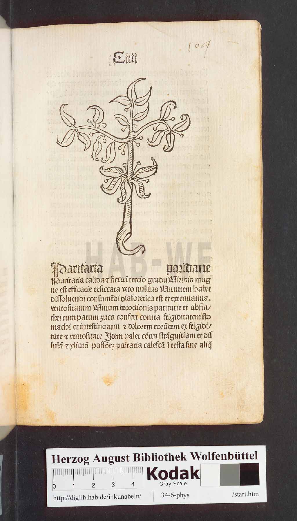 http://diglib.hab.de/inkunabeln/34-6-phys/00211.jpg