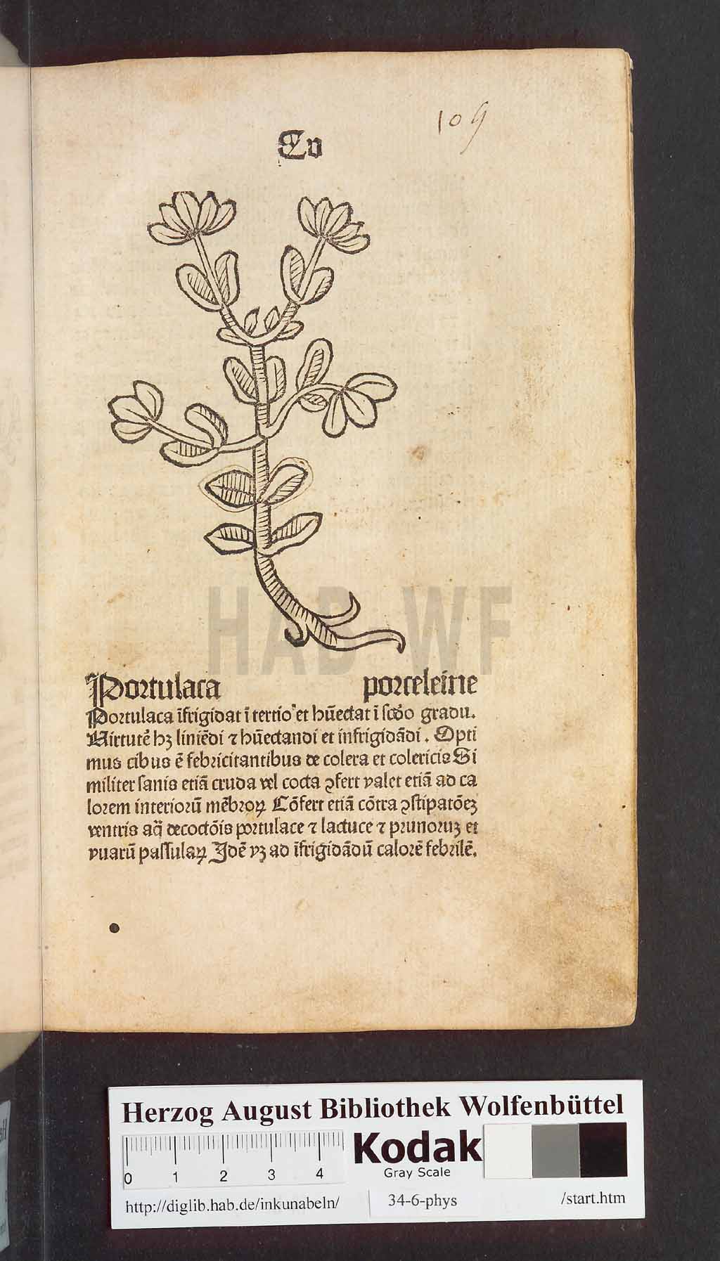 http://diglib.hab.de/inkunabeln/34-6-phys/00213.jpg