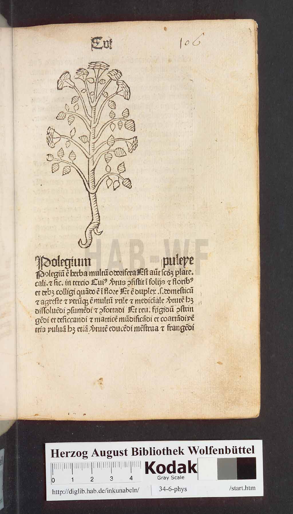 http://diglib.hab.de/inkunabeln/34-6-phys/00215.jpg