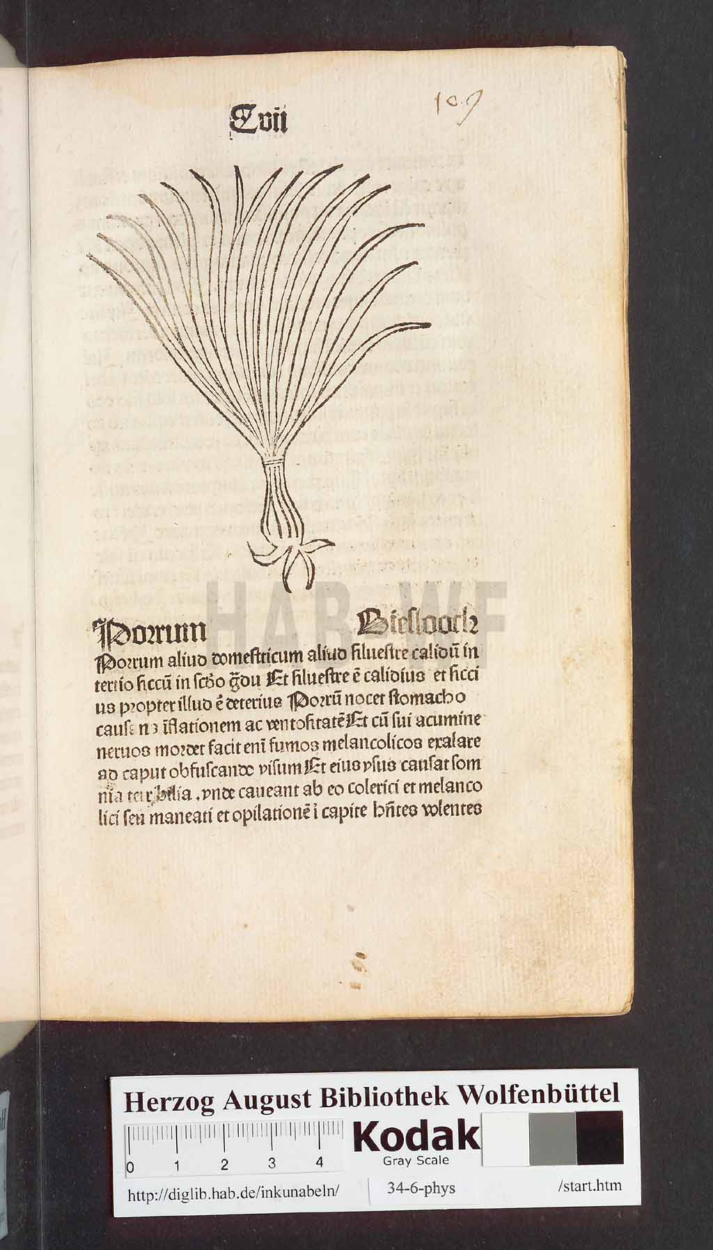 http://diglib.hab.de/inkunabeln/34-6-phys/00217.jpg