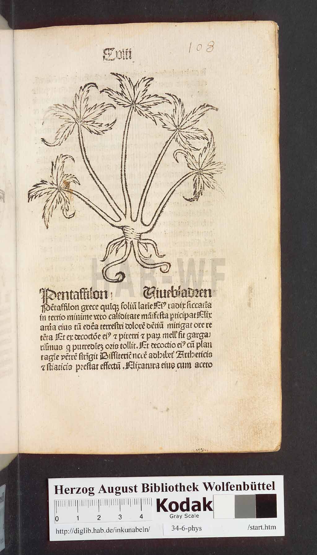http://diglib.hab.de/inkunabeln/34-6-phys/00219.jpg