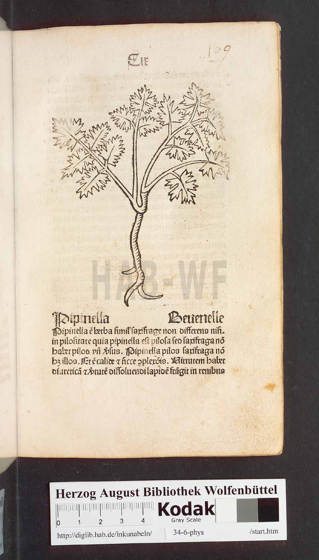 http://diglib.hab.de/inkunabeln/34-6-phys/00221.jpg