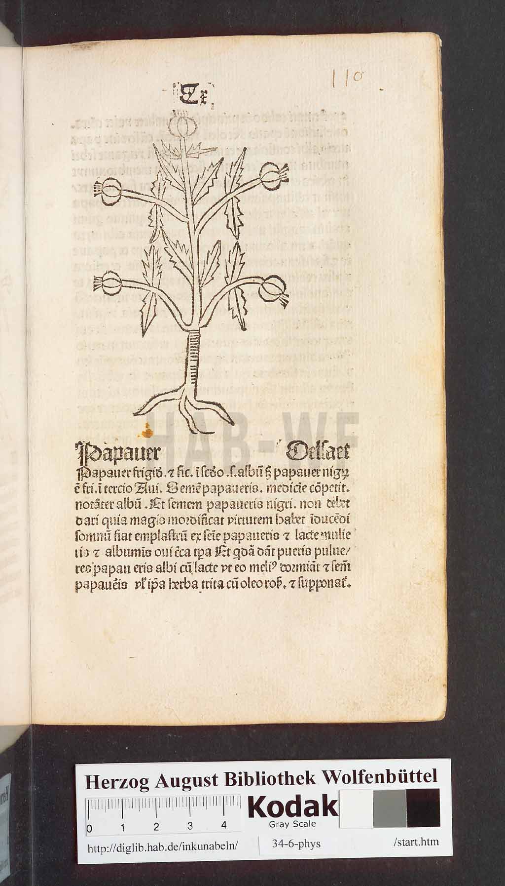 http://diglib.hab.de/inkunabeln/34-6-phys/00223.jpg