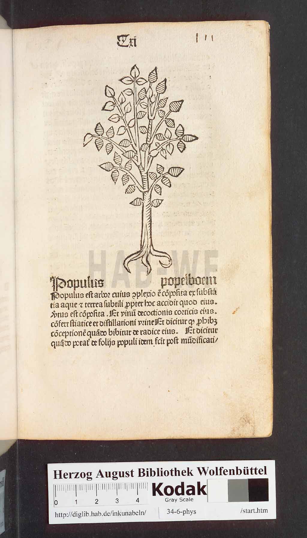 http://diglib.hab.de/inkunabeln/34-6-phys/00225.jpg