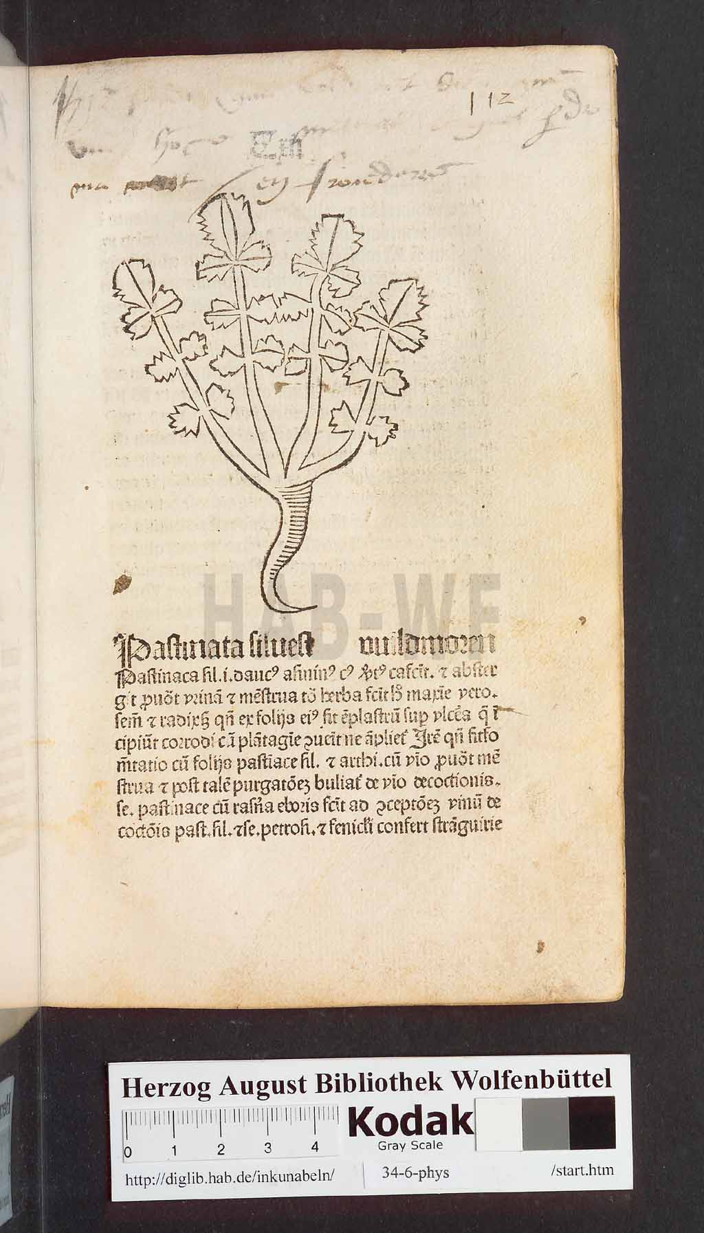 http://diglib.hab.de/inkunabeln/34-6-phys/00227.jpg