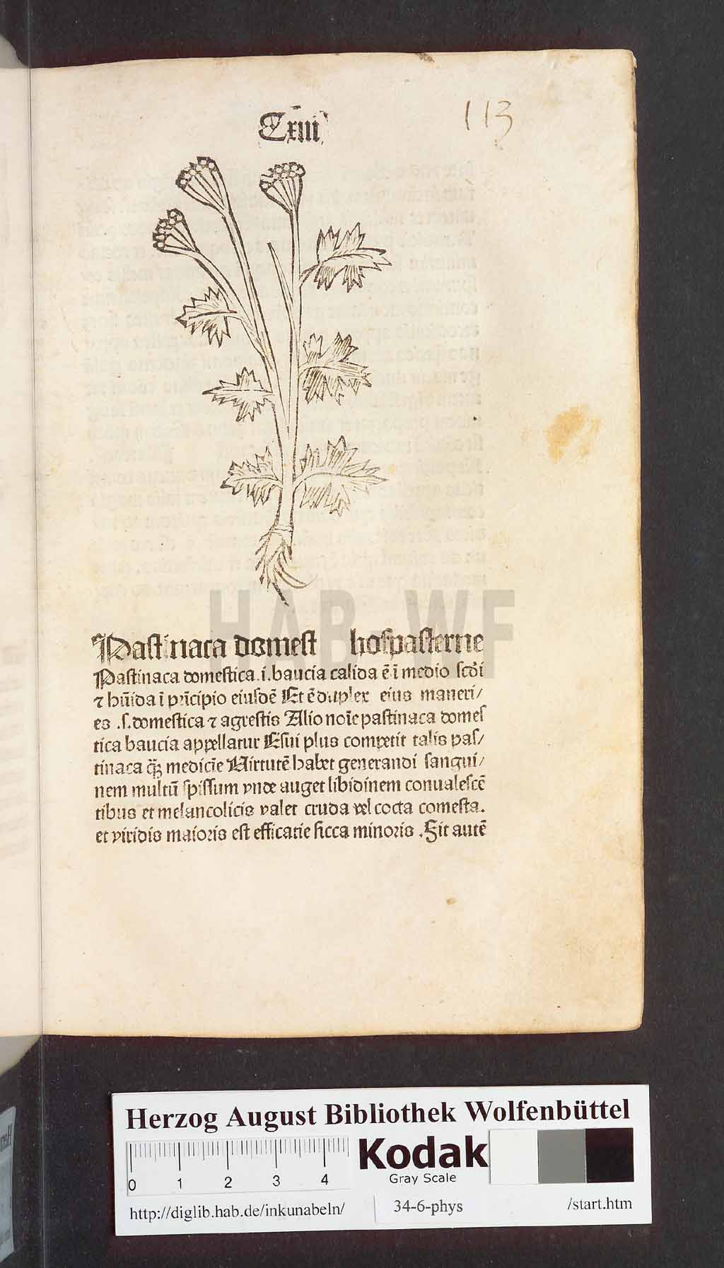 http://diglib.hab.de/inkunabeln/34-6-phys/00229.jpg