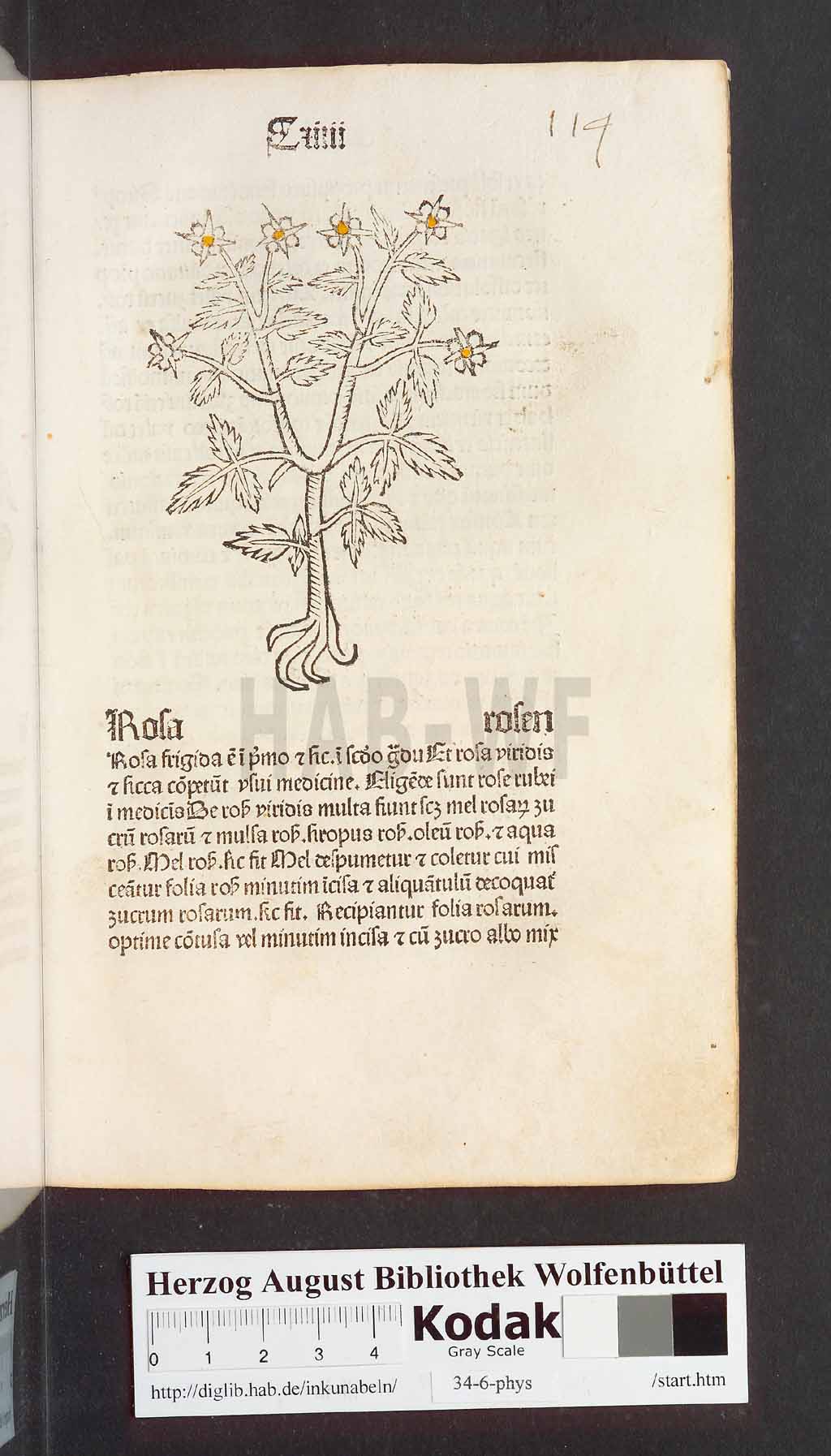 http://diglib.hab.de/inkunabeln/34-6-phys/00231.jpg