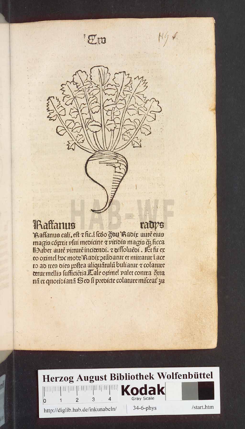 http://diglib.hab.de/inkunabeln/34-6-phys/00233.jpg