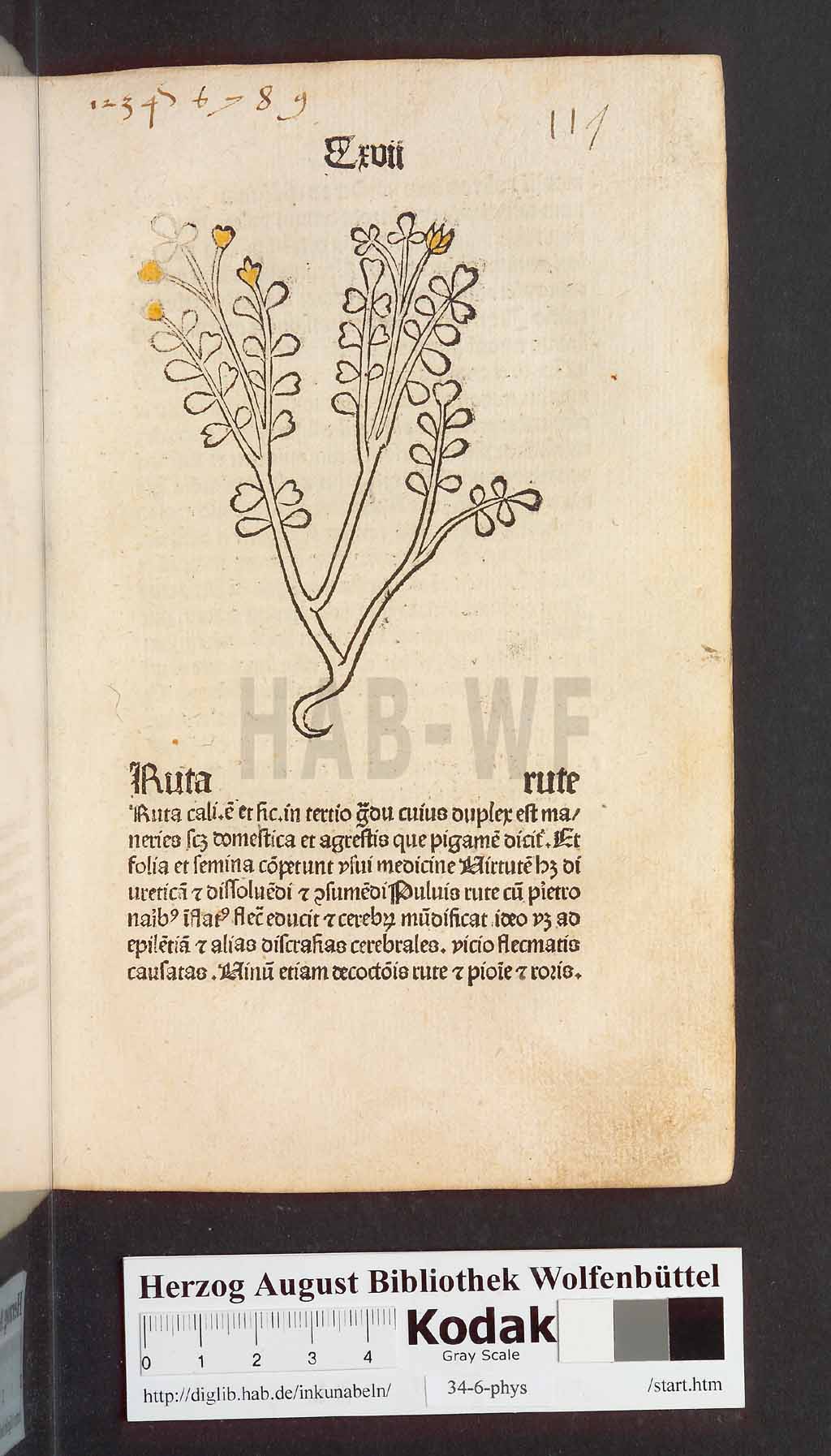 http://diglib.hab.de/inkunabeln/34-6-phys/00237.jpg