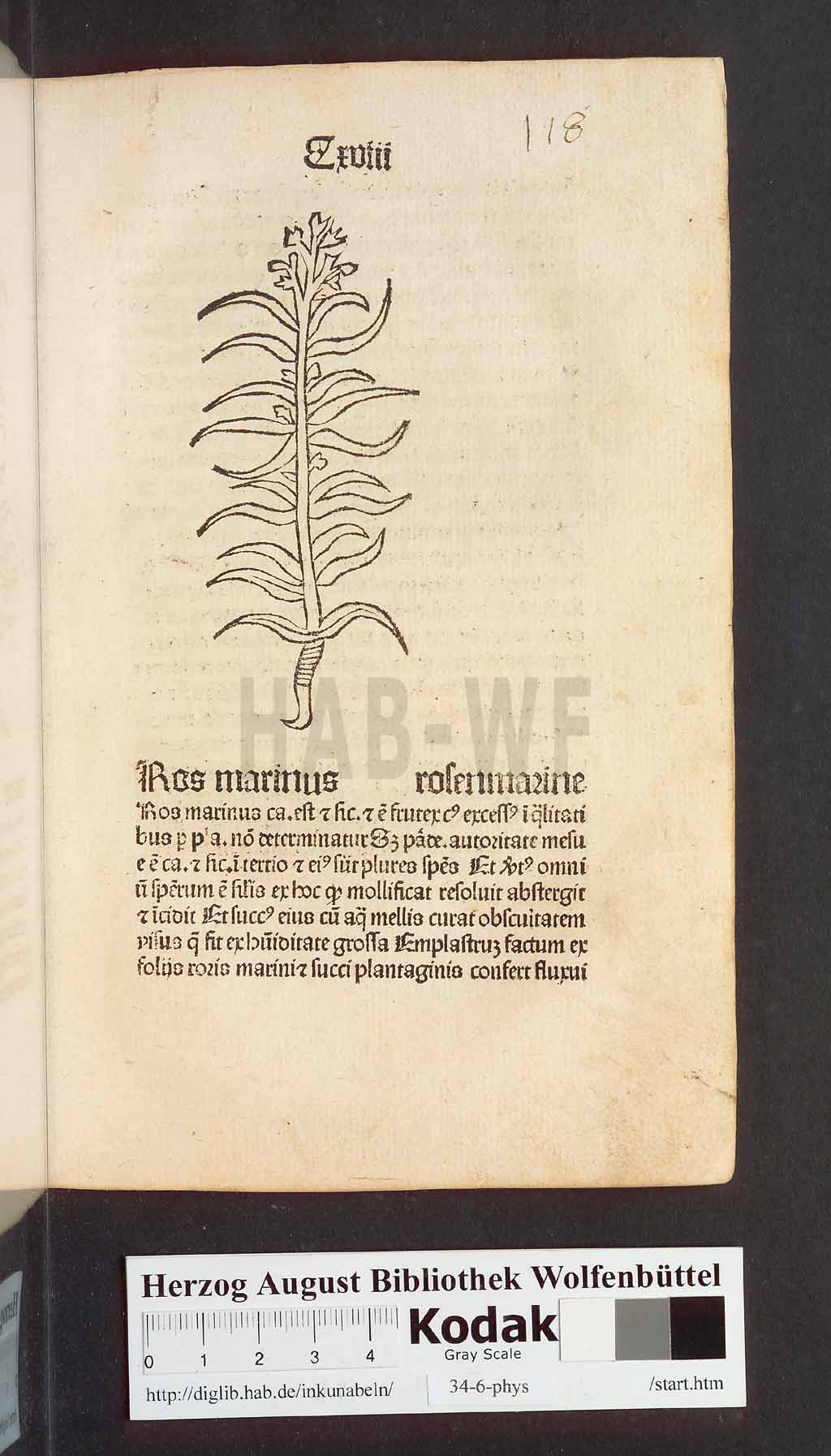 http://diglib.hab.de/inkunabeln/34-6-phys/00239.jpg