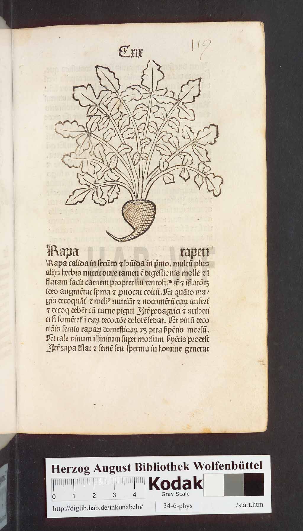 http://diglib.hab.de/inkunabeln/34-6-phys/00241.jpg