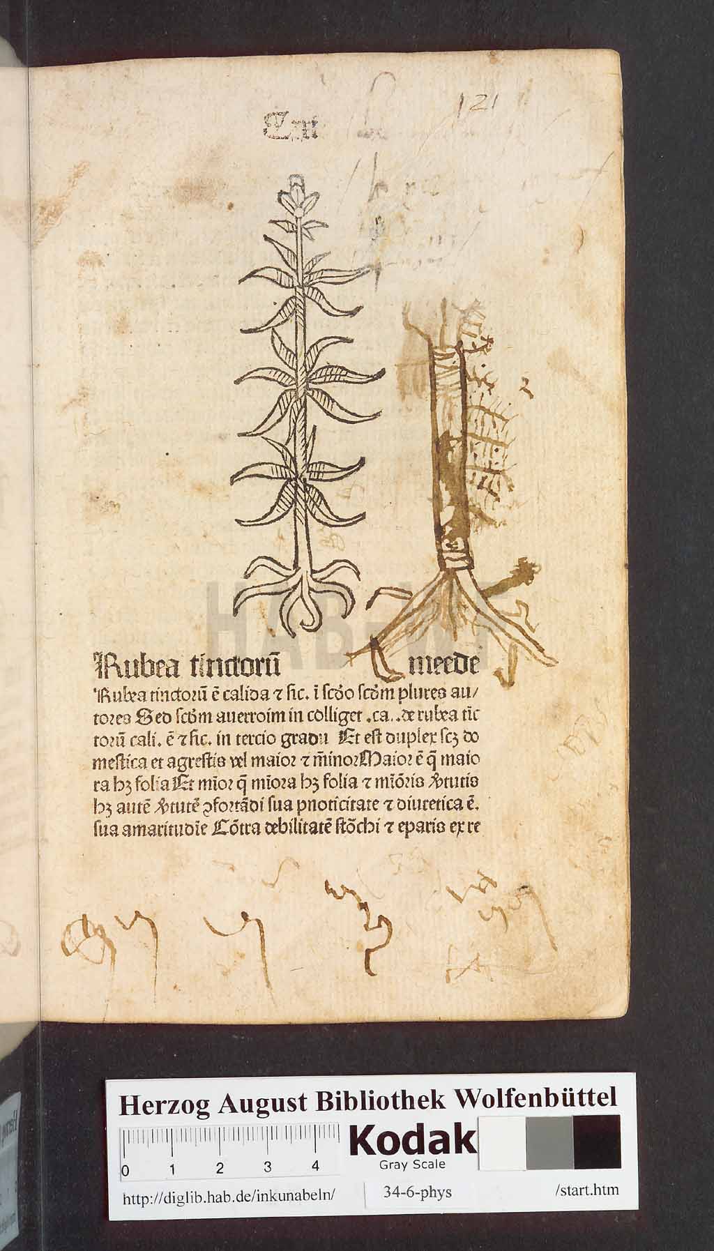 http://diglib.hab.de/inkunabeln/34-6-phys/00245.jpg