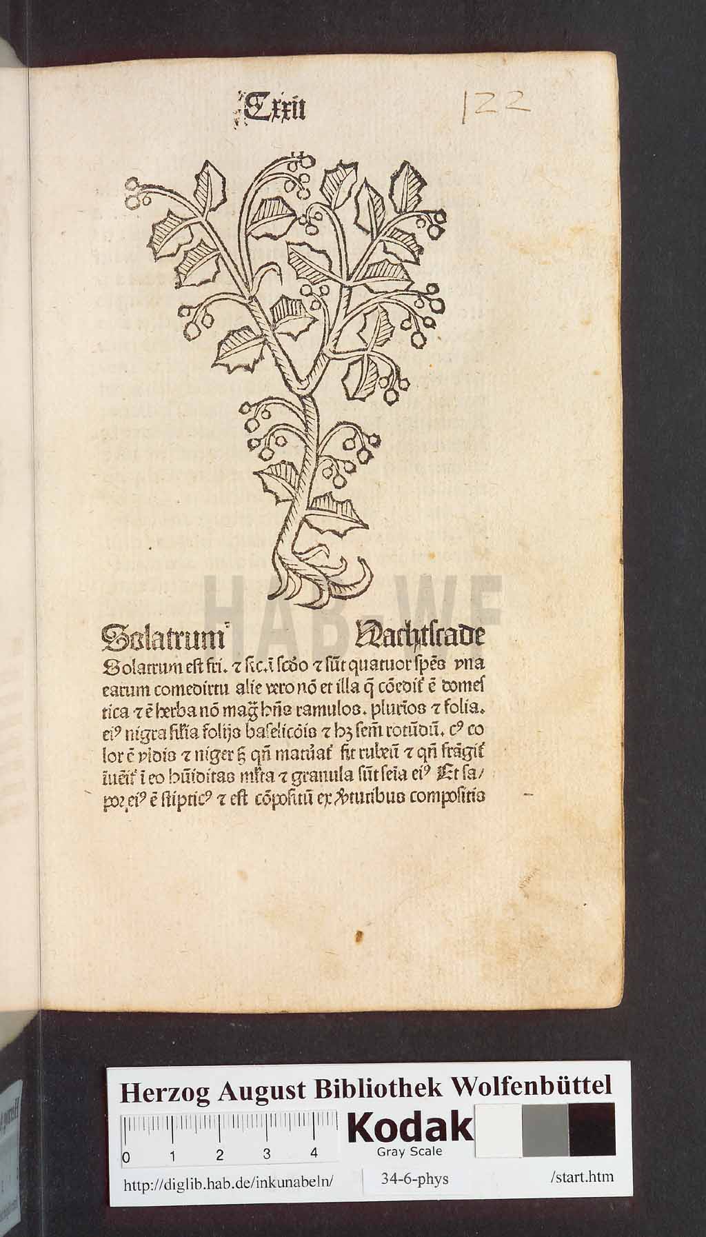 http://diglib.hab.de/inkunabeln/34-6-phys/00247.jpg