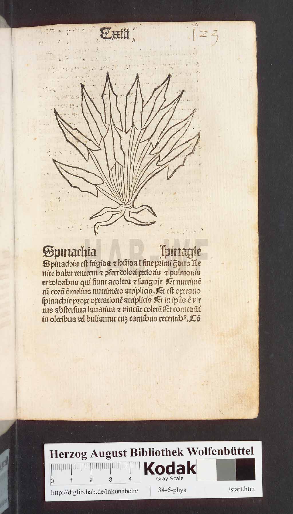 http://diglib.hab.de/inkunabeln/34-6-phys/00249.jpg