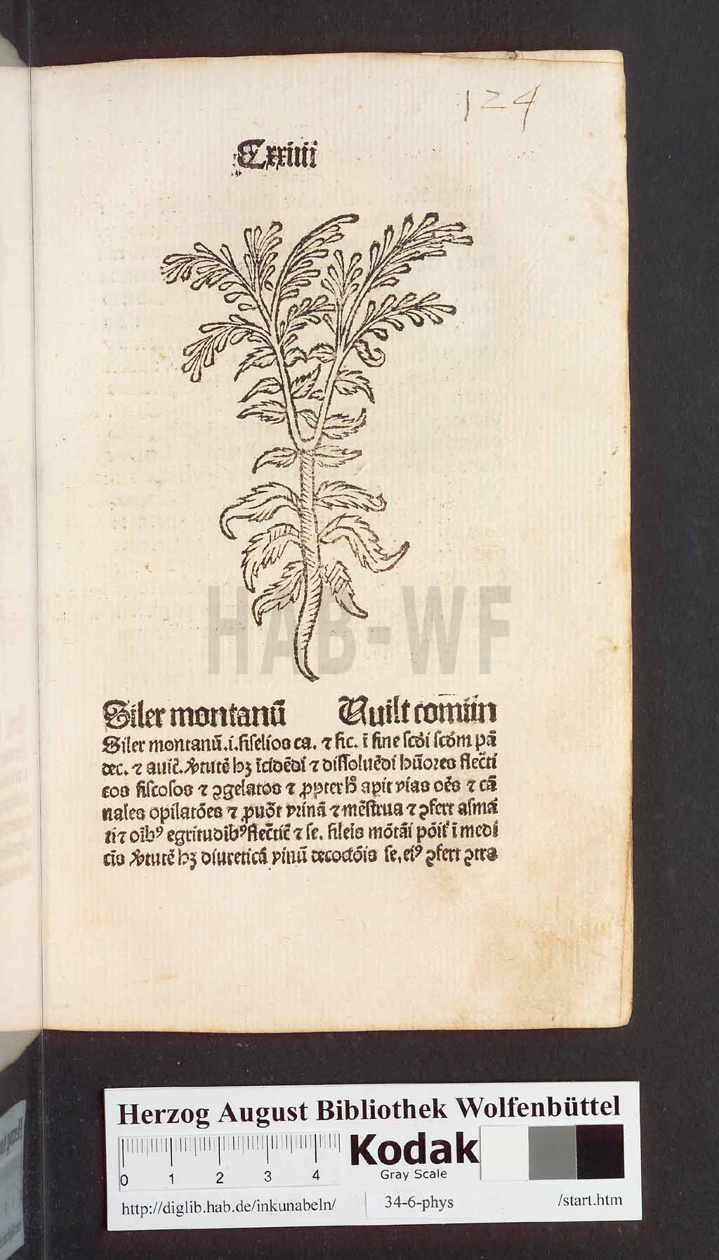 http://diglib.hab.de/inkunabeln/34-6-phys/00251.jpg