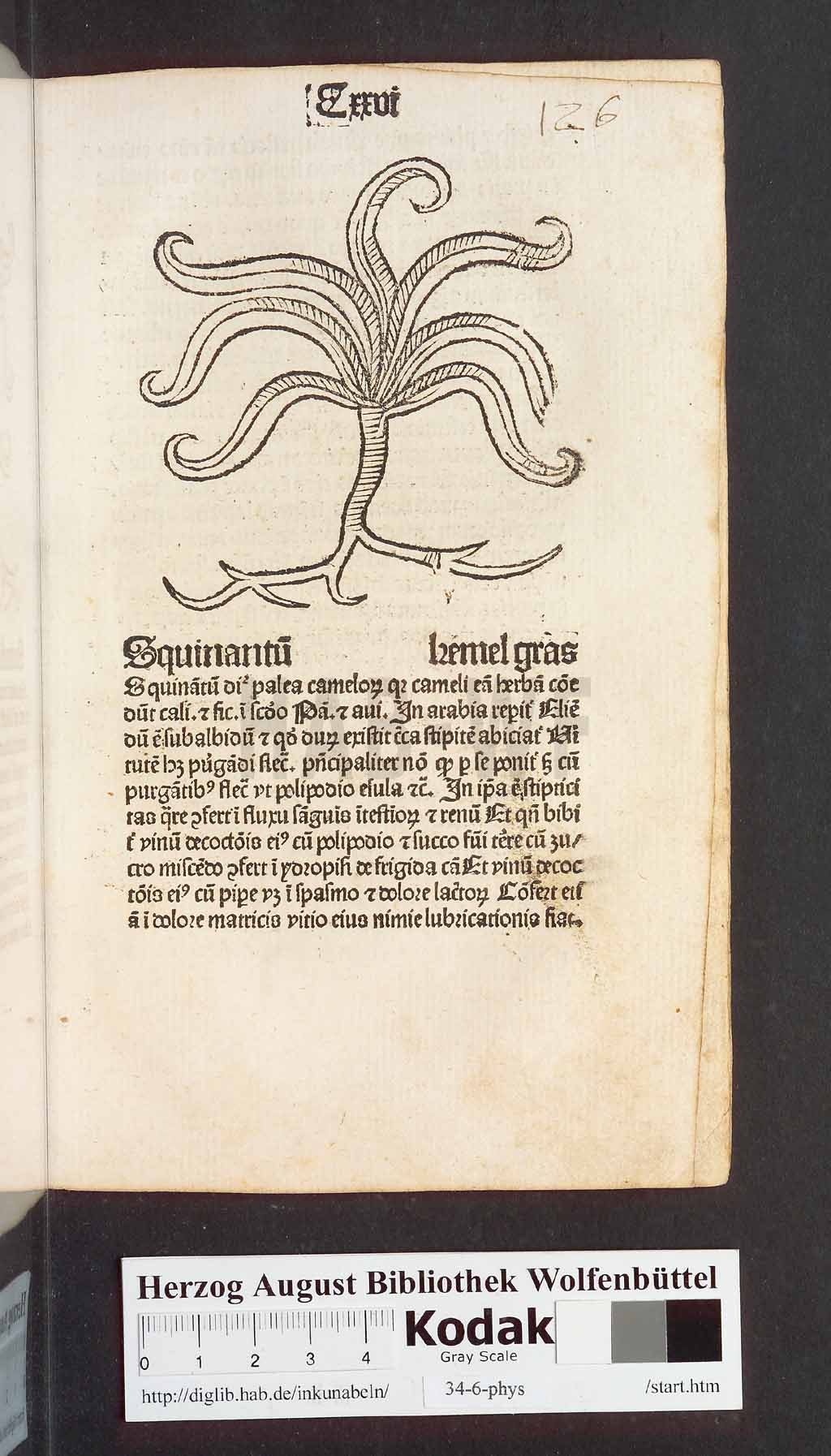 http://diglib.hab.de/inkunabeln/34-6-phys/00255.jpg