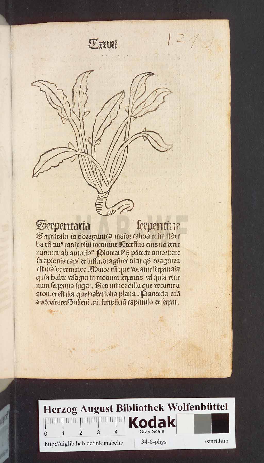http://diglib.hab.de/inkunabeln/34-6-phys/00257.jpg