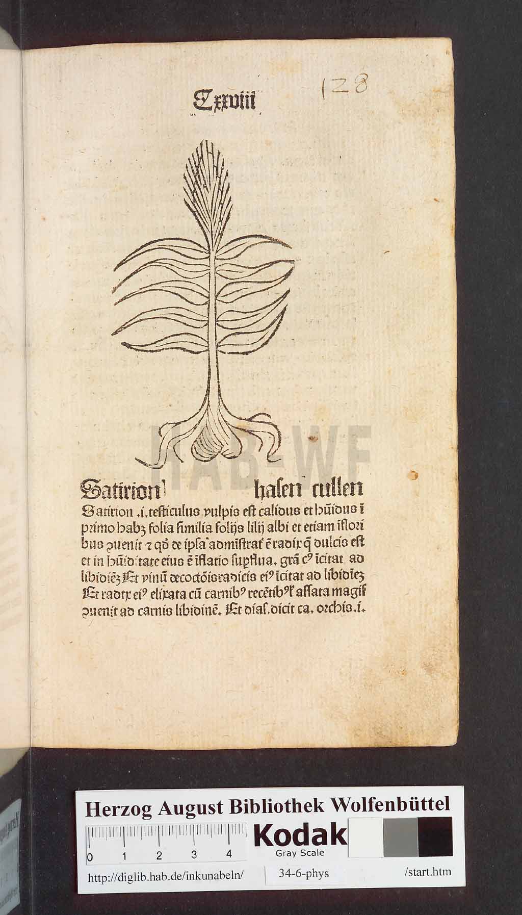 http://diglib.hab.de/inkunabeln/34-6-phys/00259.jpg