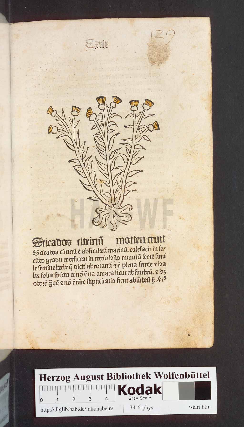 http://diglib.hab.de/inkunabeln/34-6-phys/00261.jpg