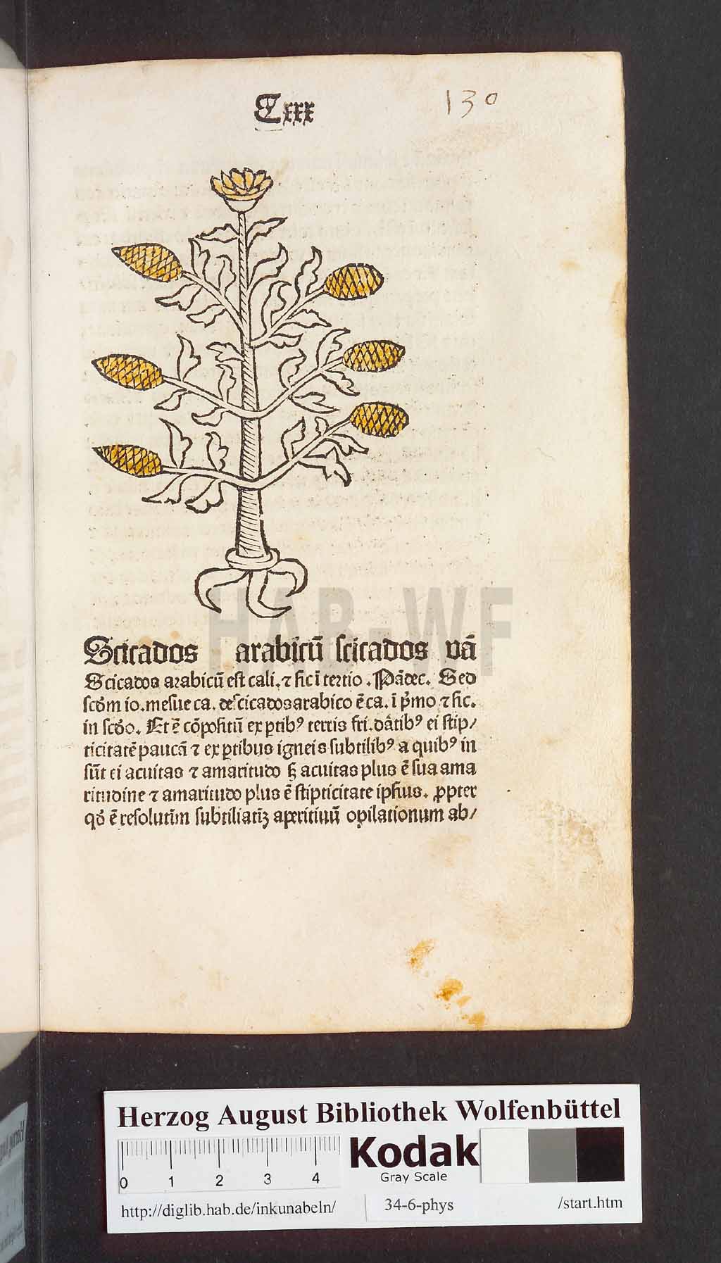 http://diglib.hab.de/inkunabeln/34-6-phys/00263.jpg