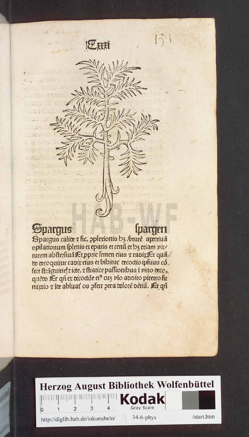 http://diglib.hab.de/inkunabeln/34-6-phys/00265.jpg