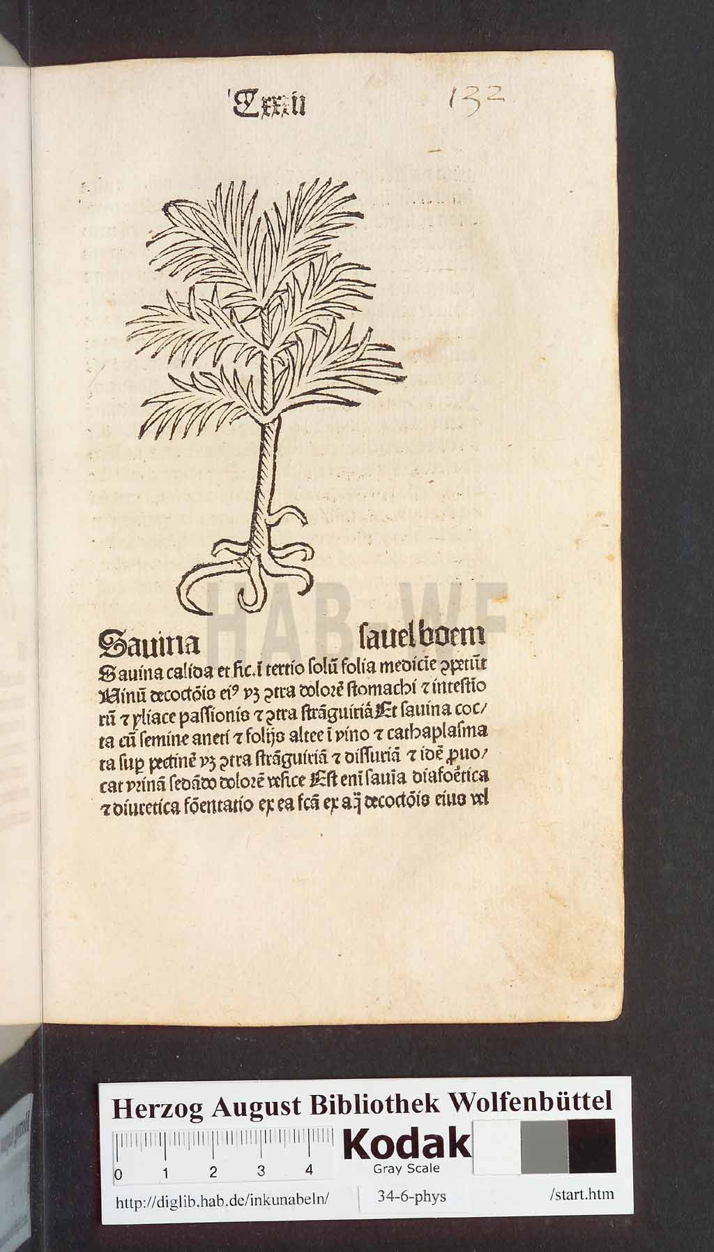 http://diglib.hab.de/inkunabeln/34-6-phys/00267.jpg