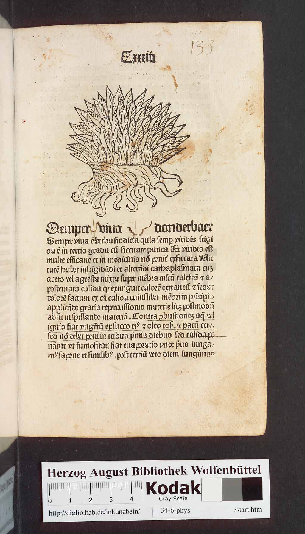 http://diglib.hab.de/inkunabeln/34-6-phys/00269.jpg