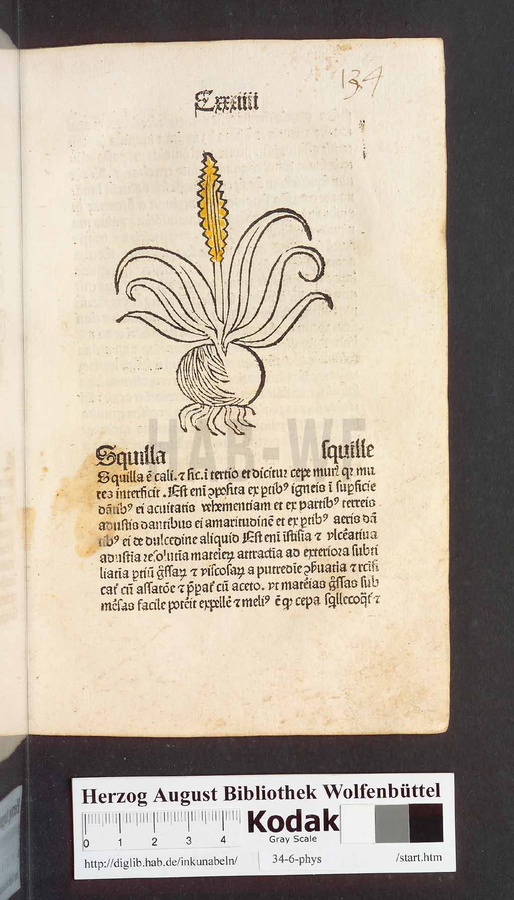 http://diglib.hab.de/inkunabeln/34-6-phys/00271.jpg