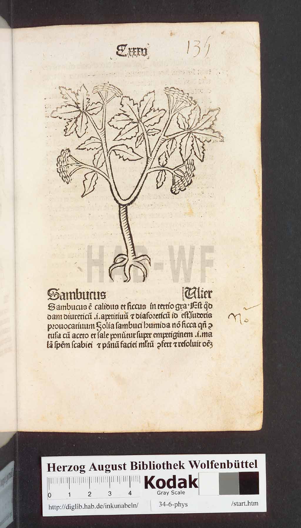 http://diglib.hab.de/inkunabeln/34-6-phys/00273.jpg