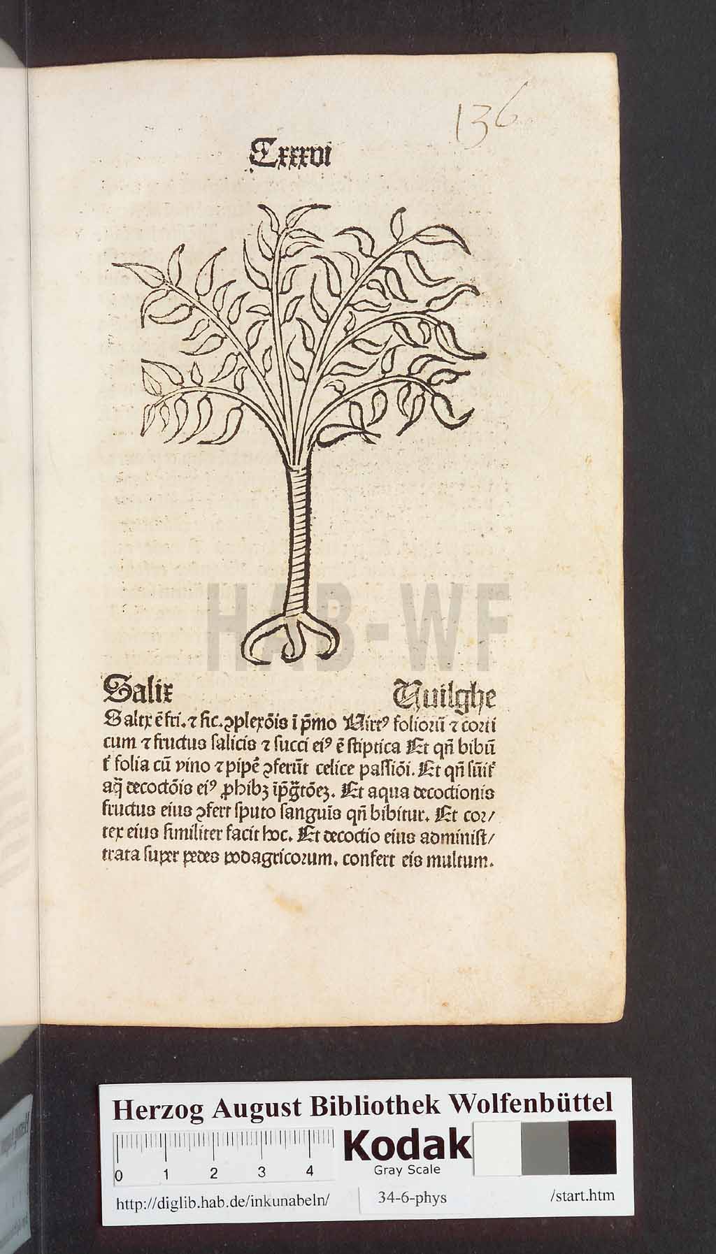 http://diglib.hab.de/inkunabeln/34-6-phys/00275.jpg