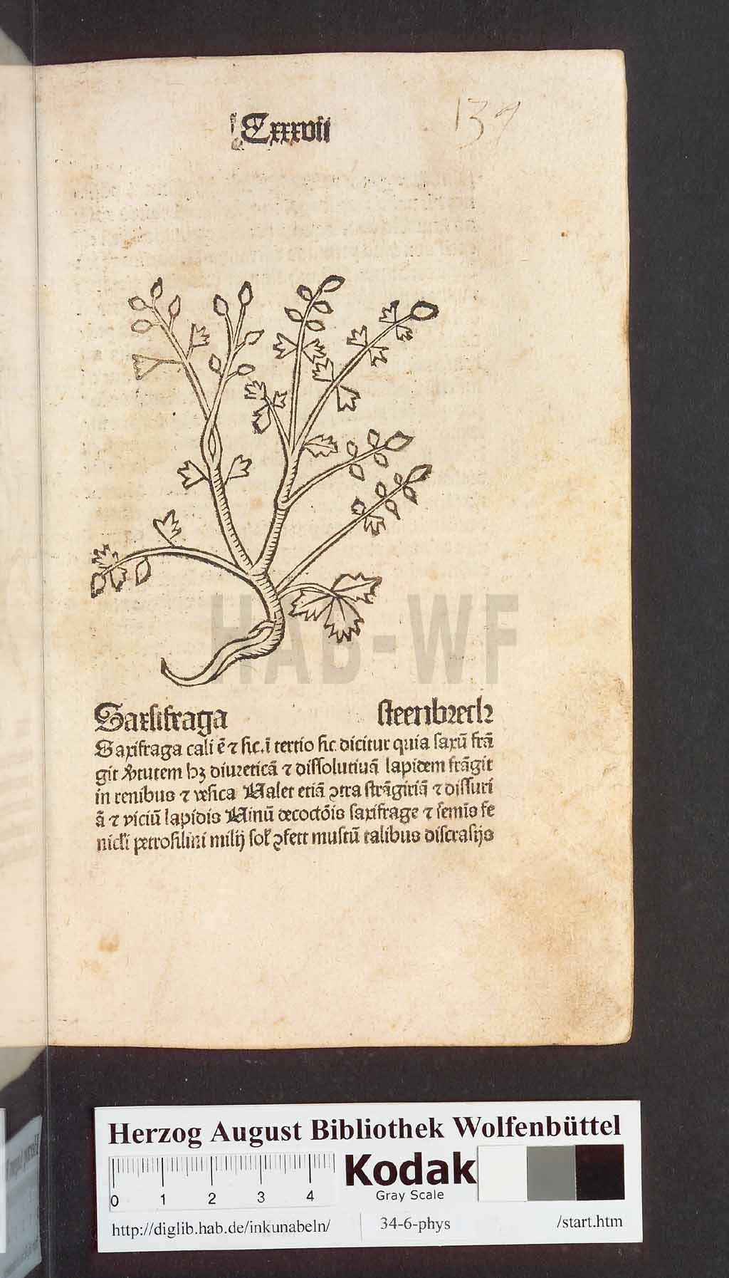 http://diglib.hab.de/inkunabeln/34-6-phys/00277.jpg