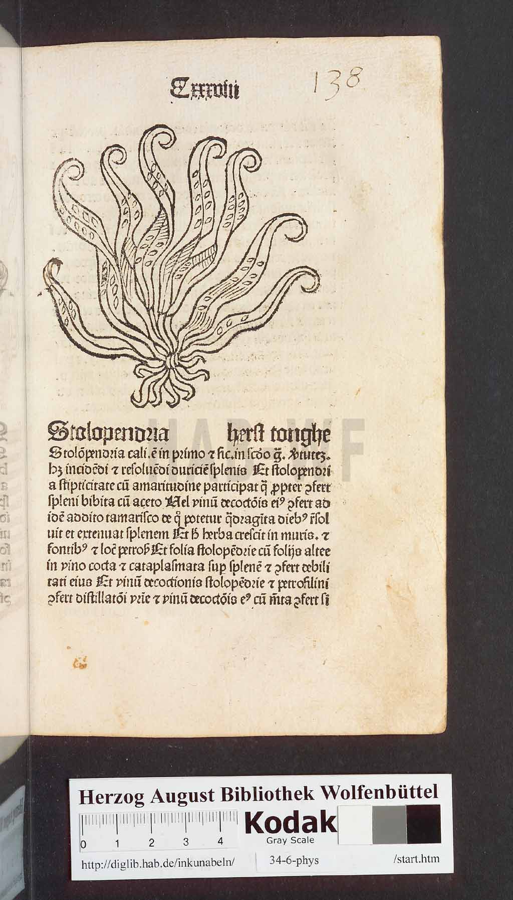 http://diglib.hab.de/inkunabeln/34-6-phys/00279.jpg