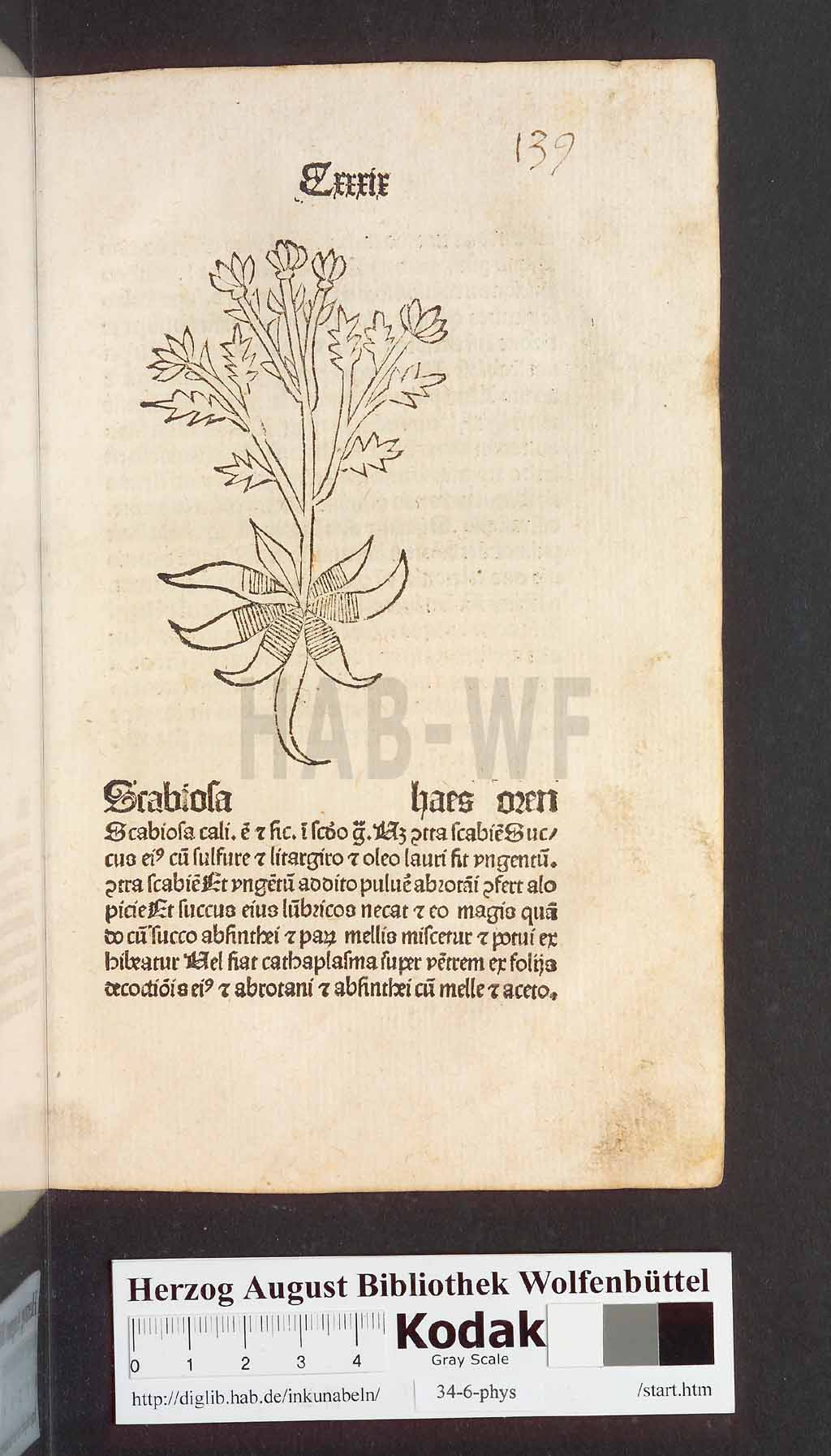 http://diglib.hab.de/inkunabeln/34-6-phys/00281.jpg