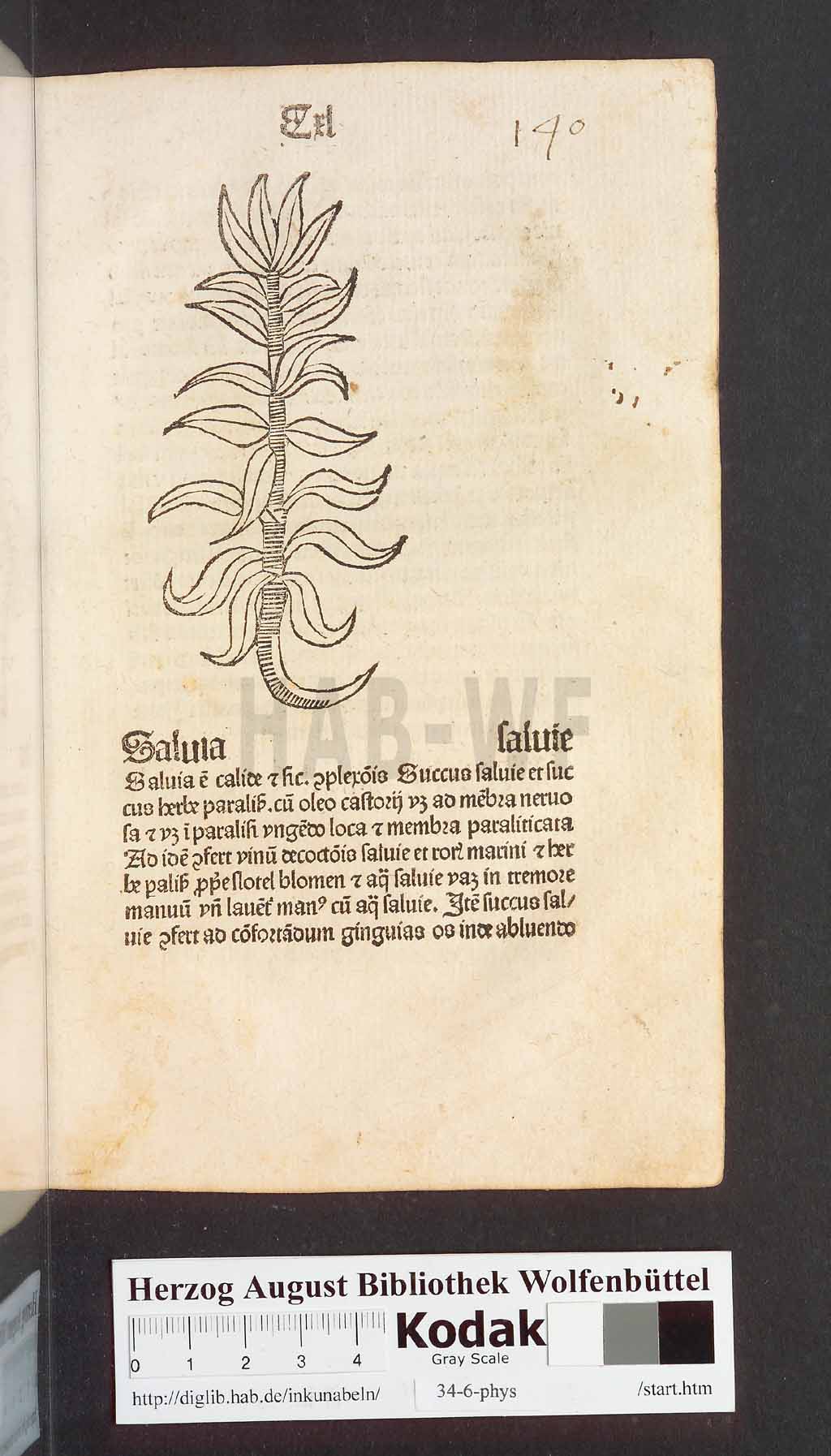 http://diglib.hab.de/inkunabeln/34-6-phys/00283.jpg