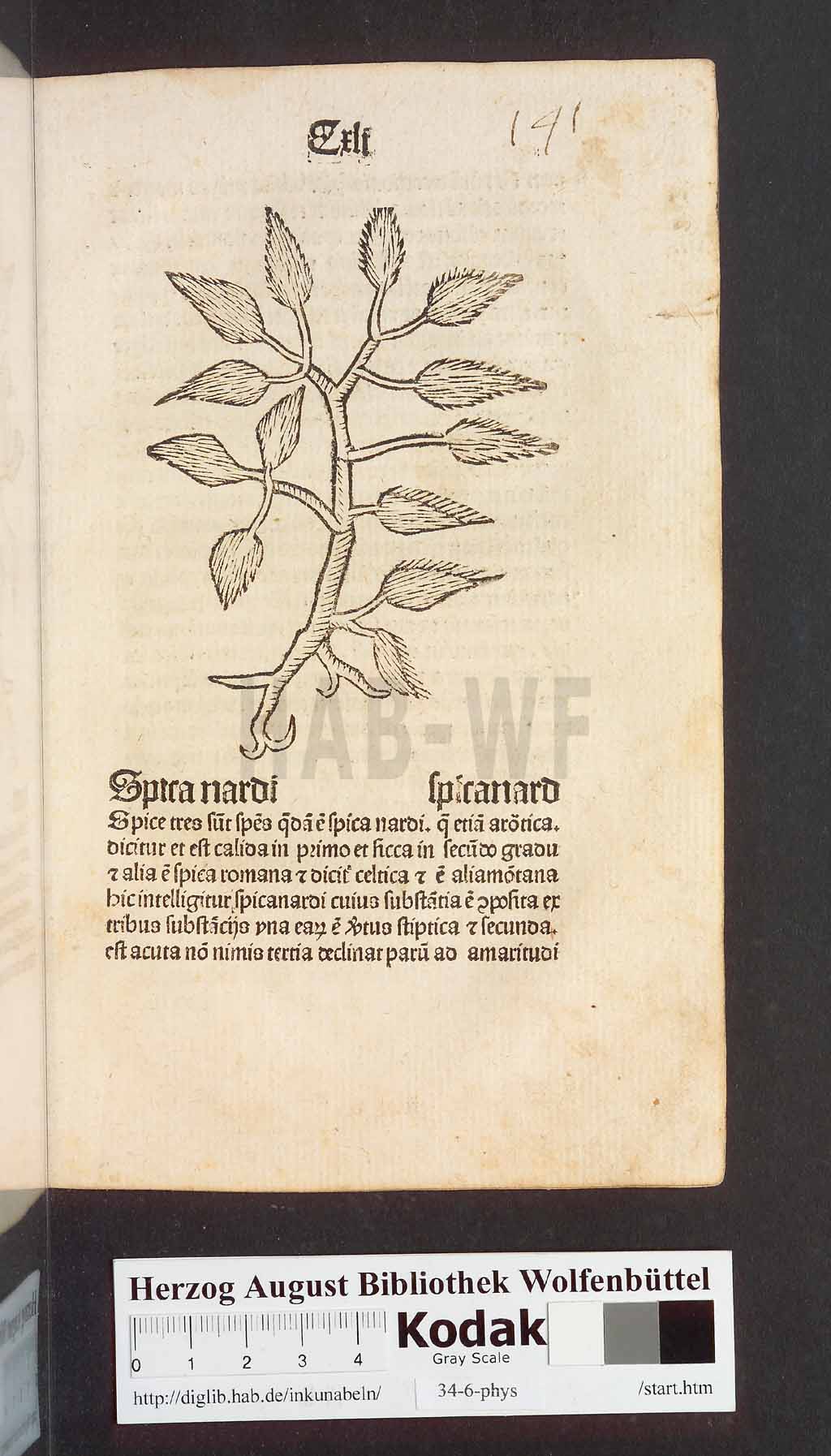 http://diglib.hab.de/inkunabeln/34-6-phys/00285.jpg