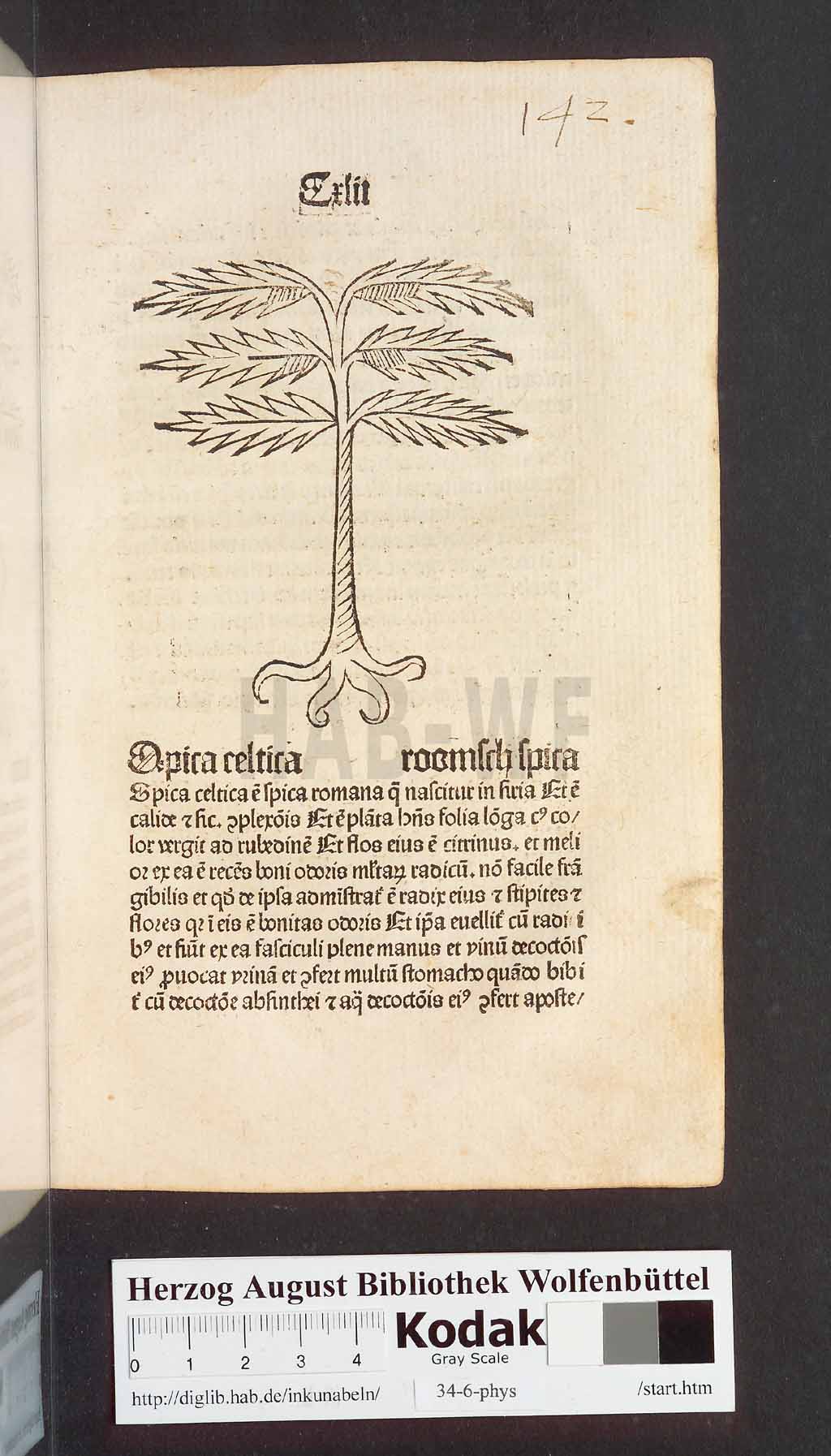 http://diglib.hab.de/inkunabeln/34-6-phys/00287.jpg