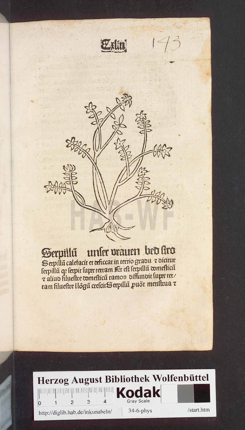 http://diglib.hab.de/inkunabeln/34-6-phys/00289.jpg