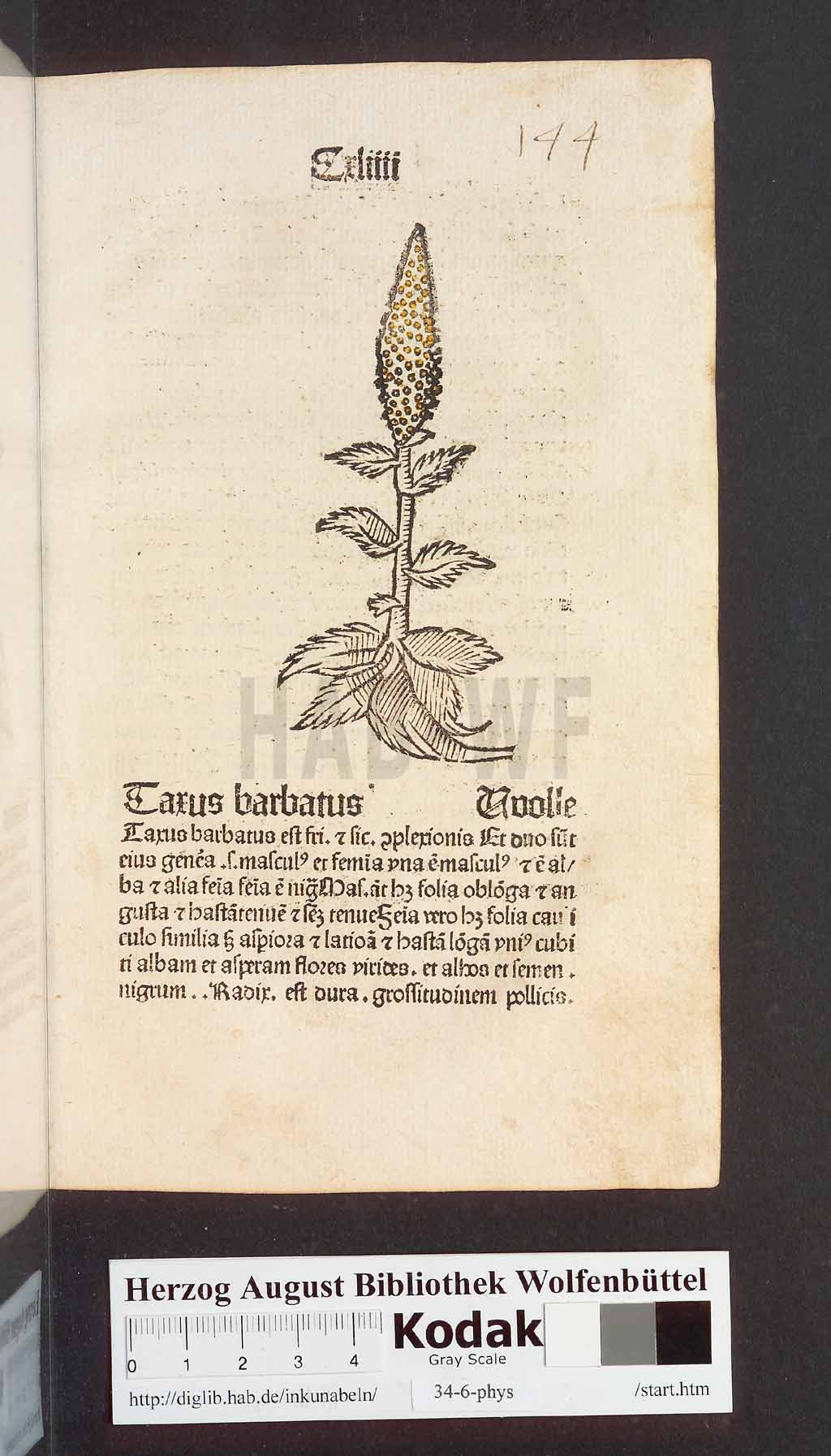http://diglib.hab.de/inkunabeln/34-6-phys/00291.jpg