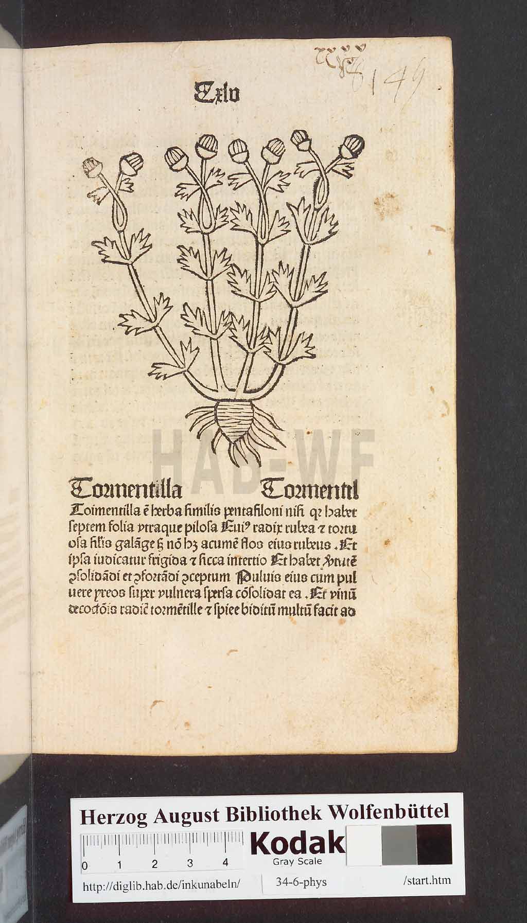 http://diglib.hab.de/inkunabeln/34-6-phys/00293.jpg
