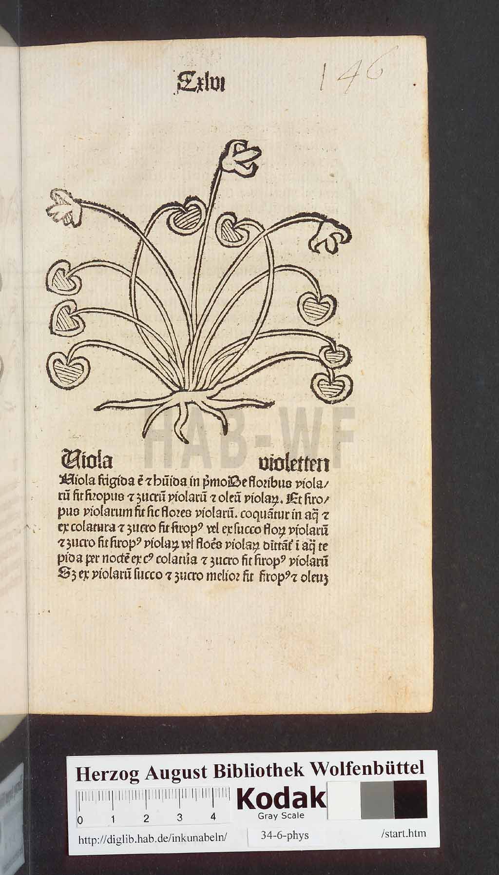 http://diglib.hab.de/inkunabeln/34-6-phys/00295.jpg