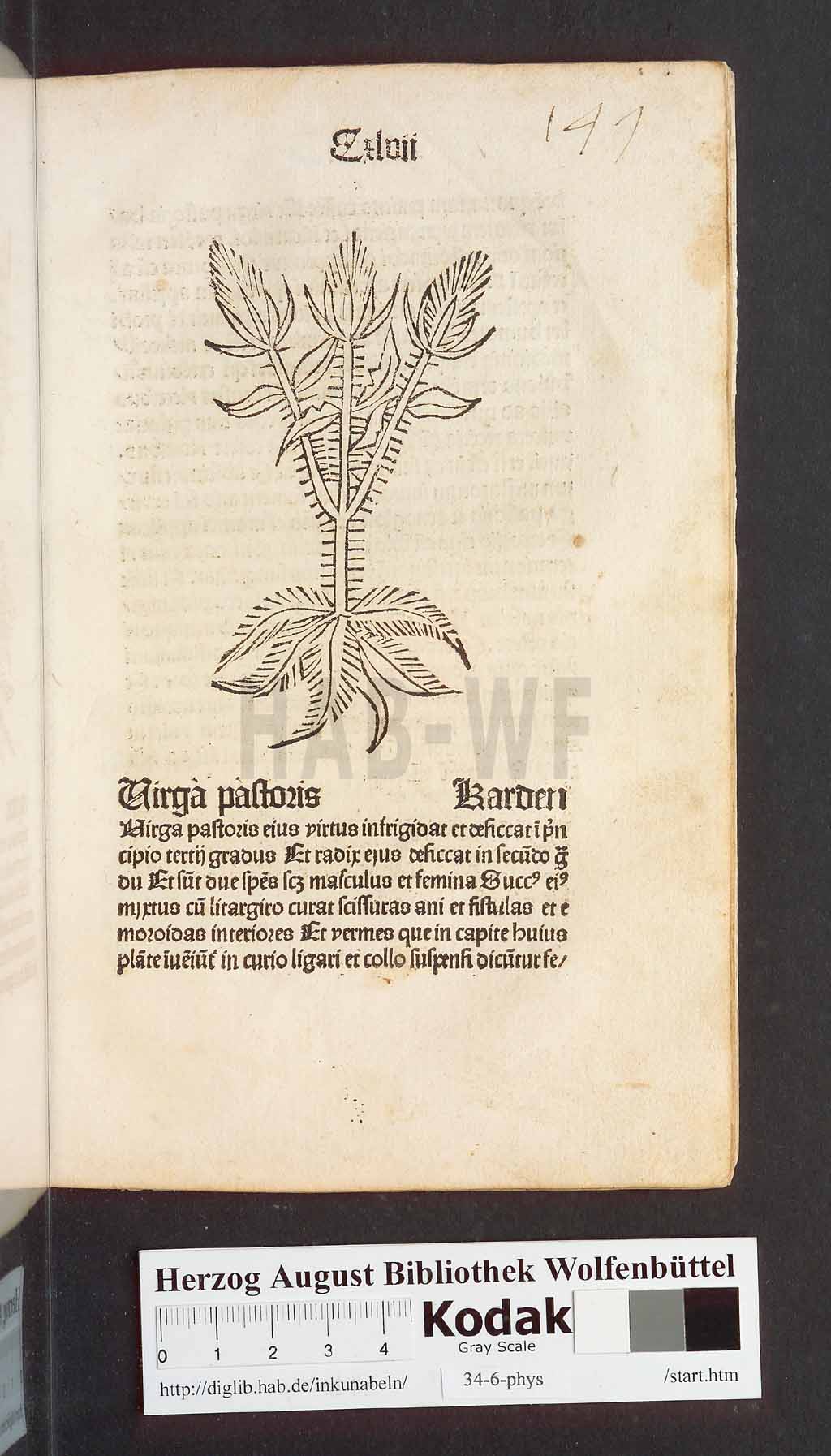 http://diglib.hab.de/inkunabeln/34-6-phys/00297.jpg