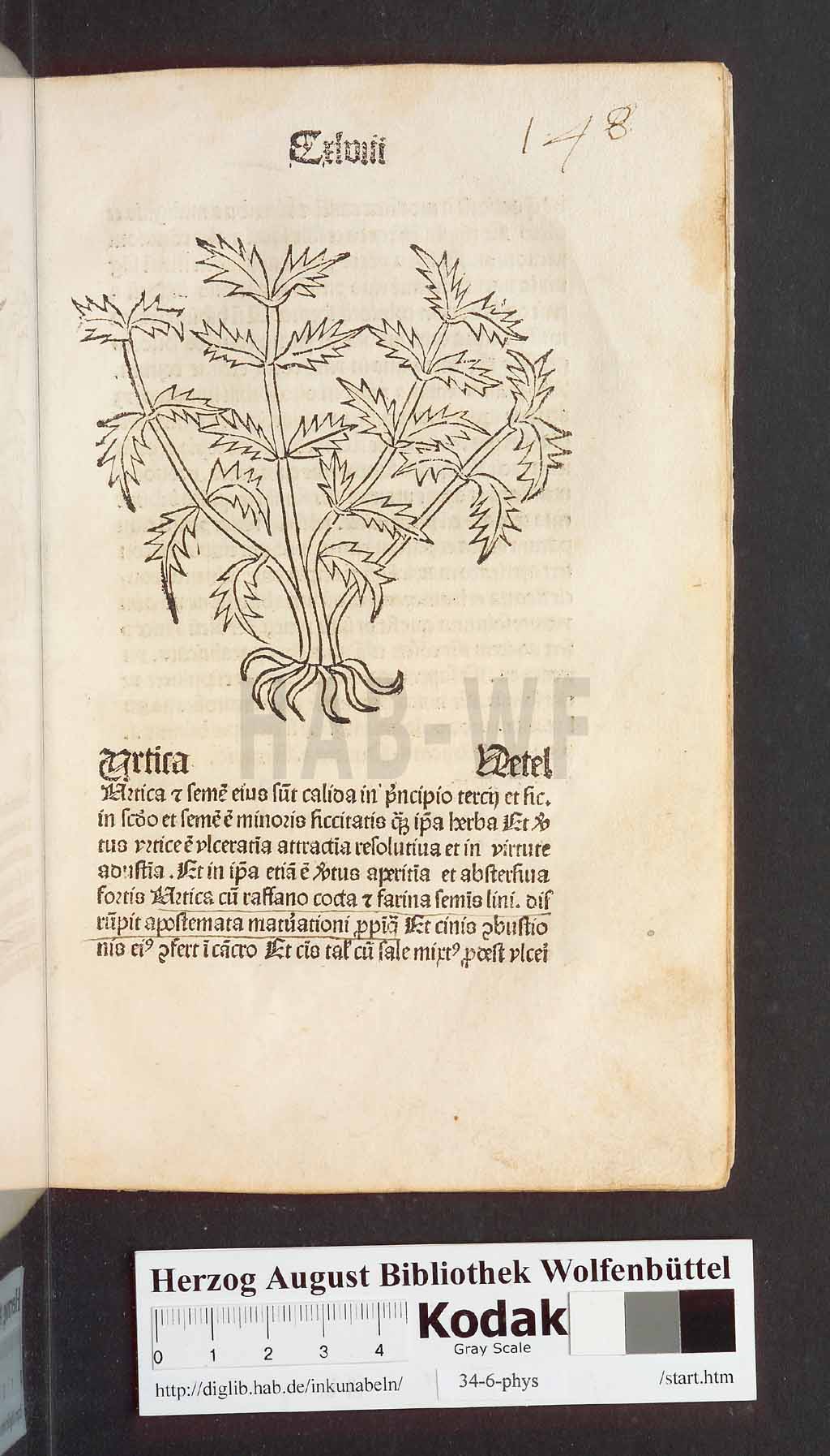 http://diglib.hab.de/inkunabeln/34-6-phys/00299.jpg