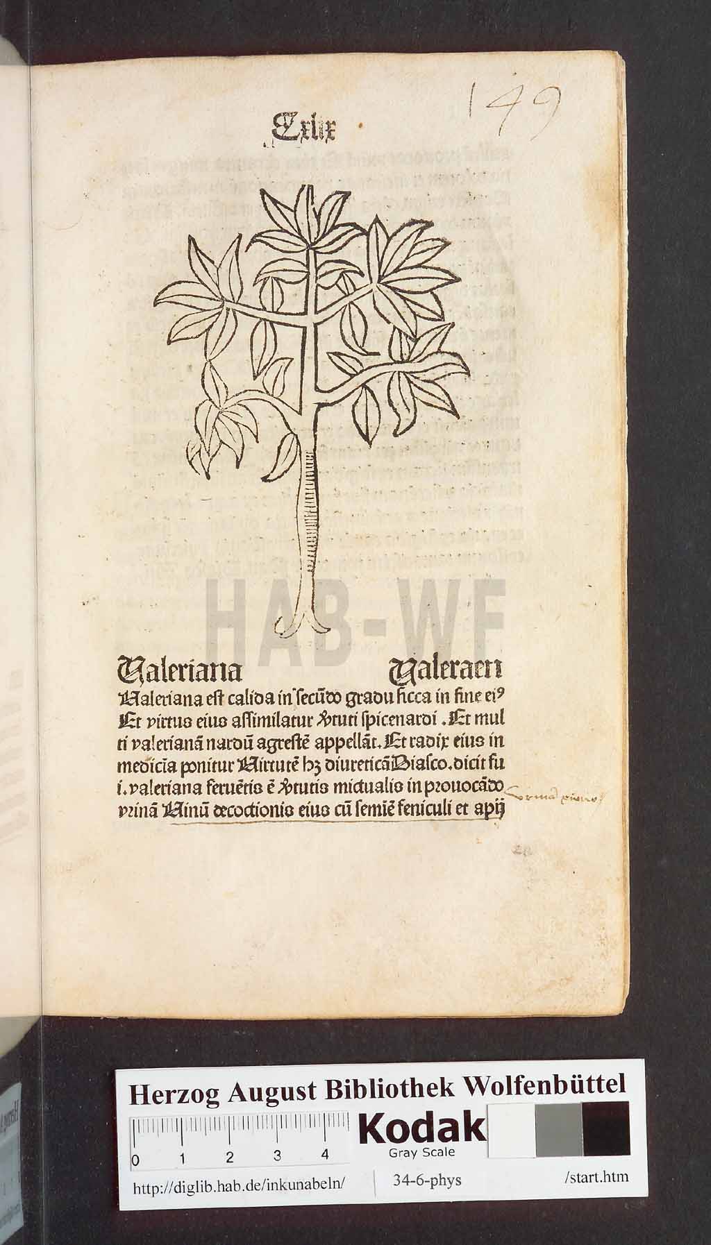 http://diglib.hab.de/inkunabeln/34-6-phys/00301.jpg