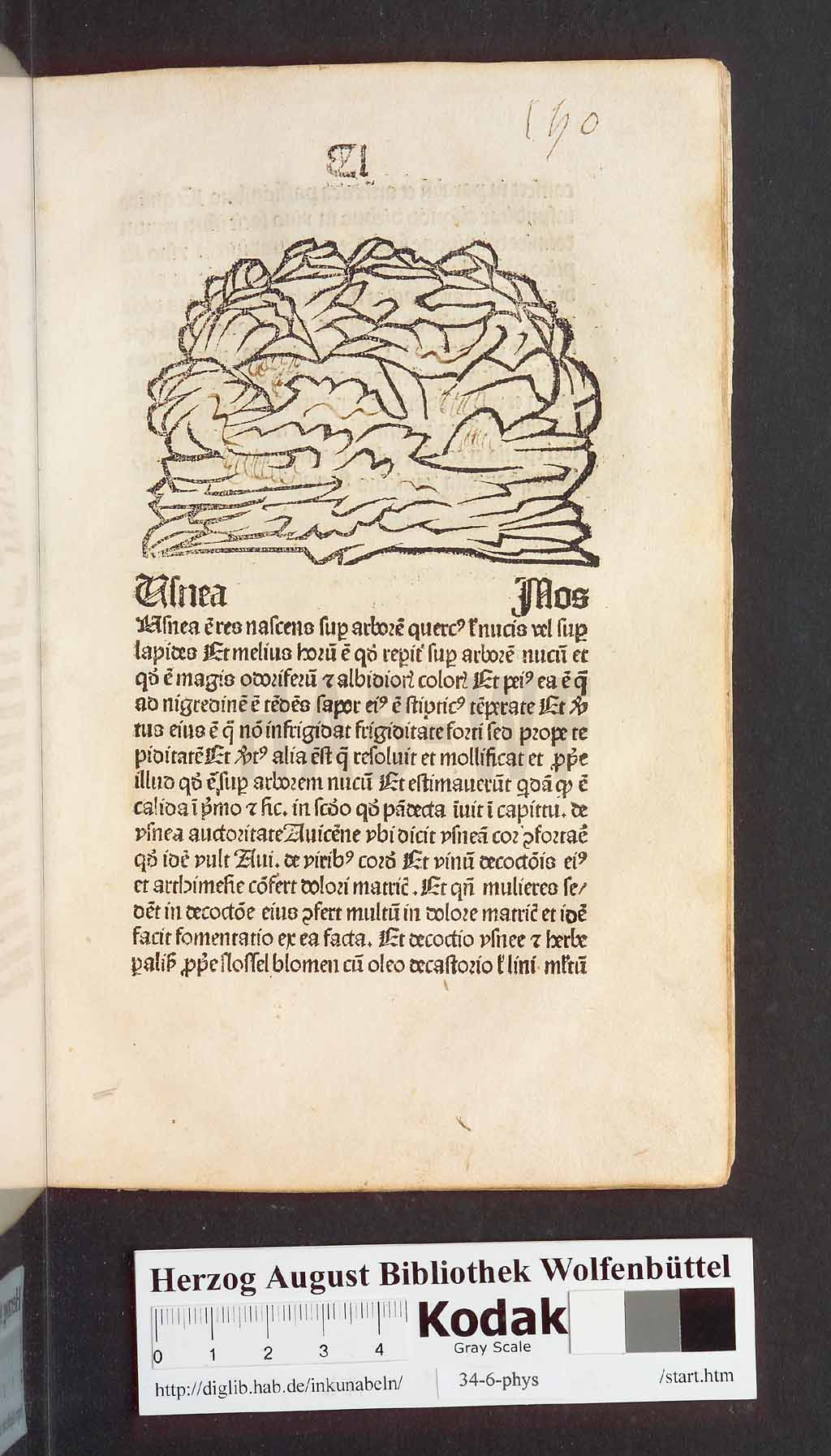 http://diglib.hab.de/inkunabeln/34-6-phys/00303.jpg