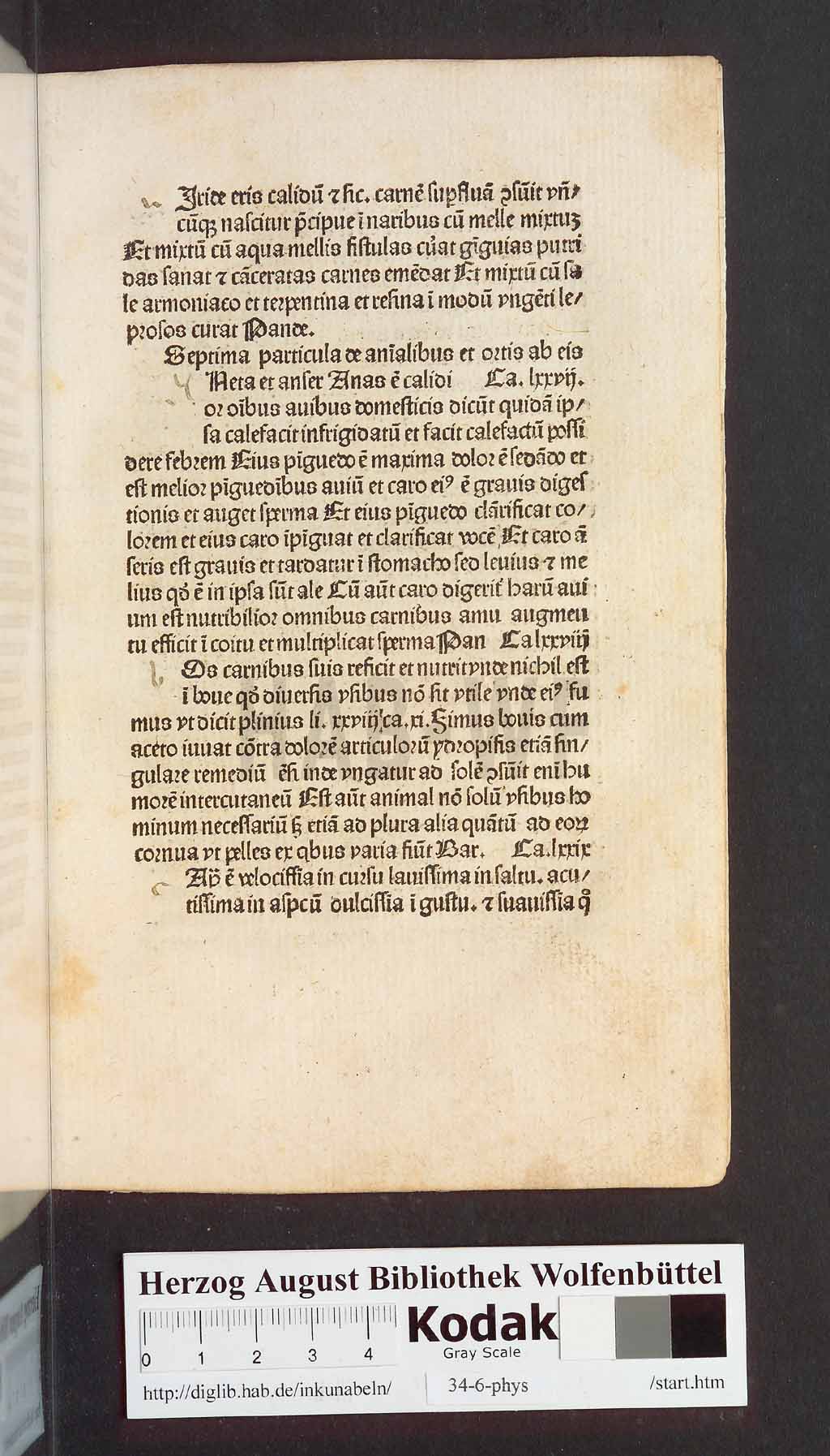 http://diglib.hab.de/inkunabeln/34-6-phys/00337.jpg