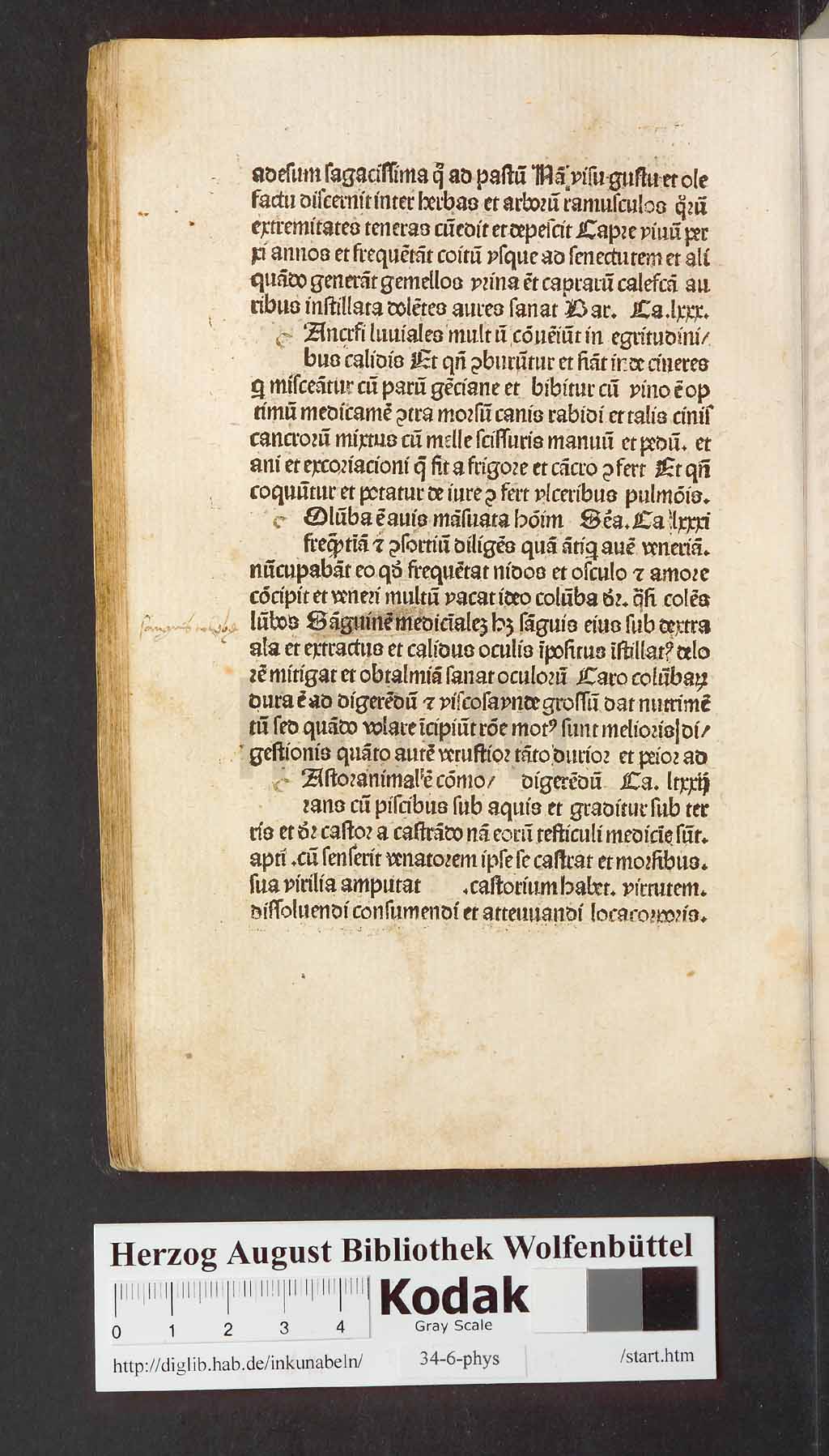 http://diglib.hab.de/inkunabeln/34-6-phys/00338.jpg